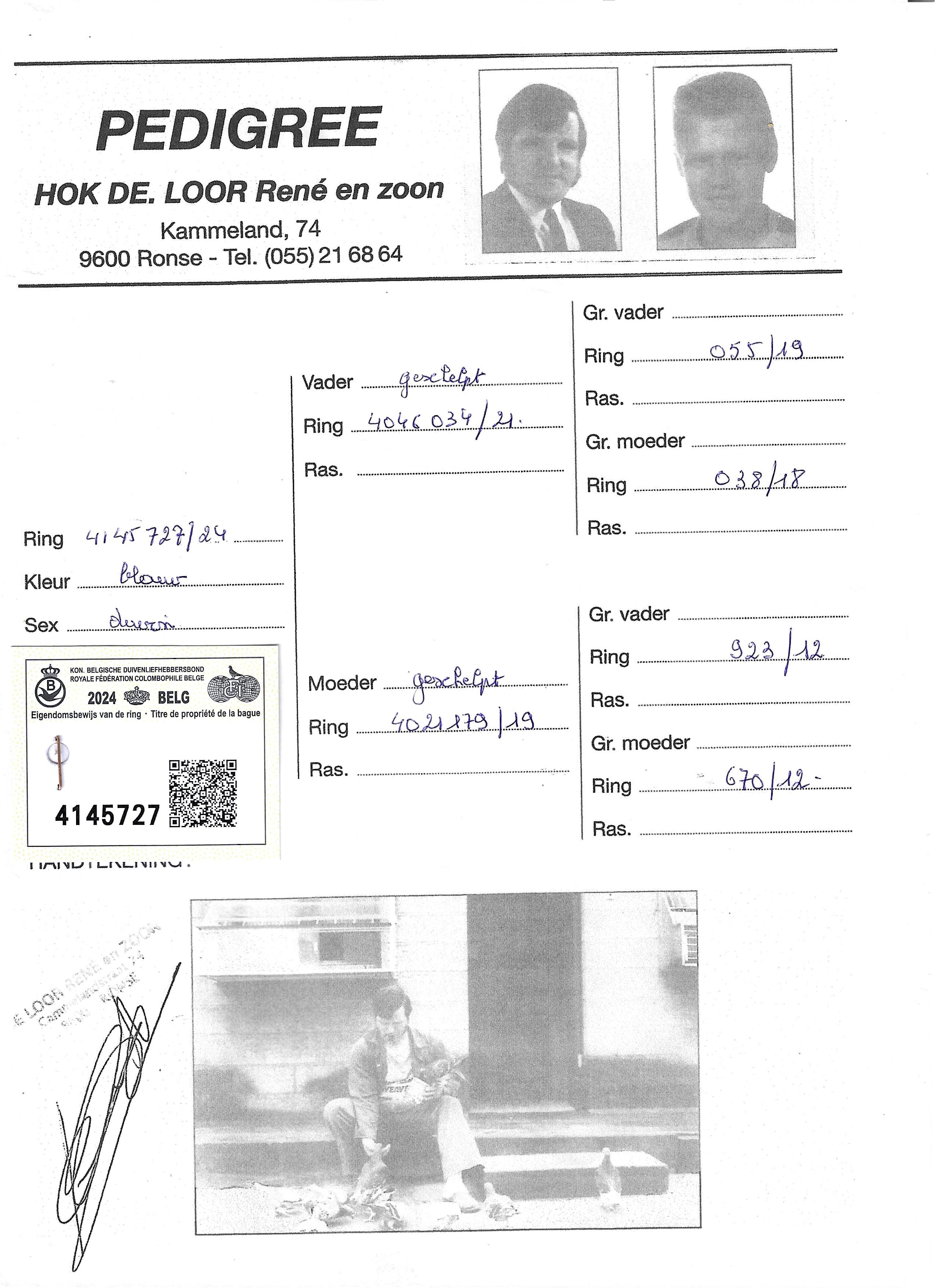 pedigree De Loor 727