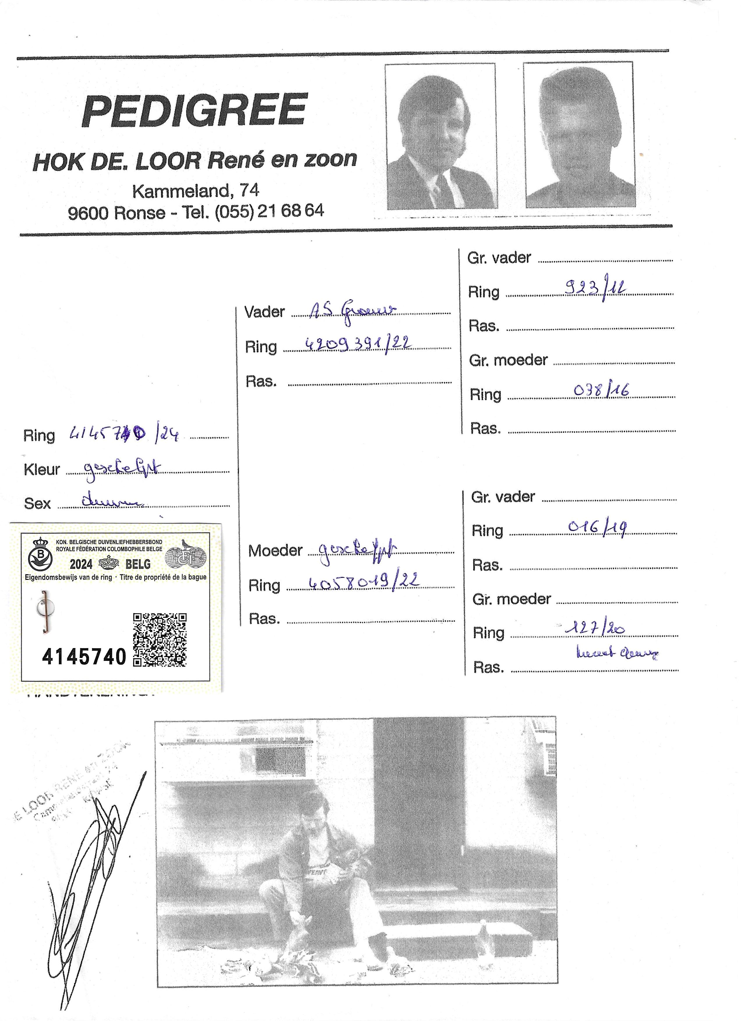 pedigree De Loor 740