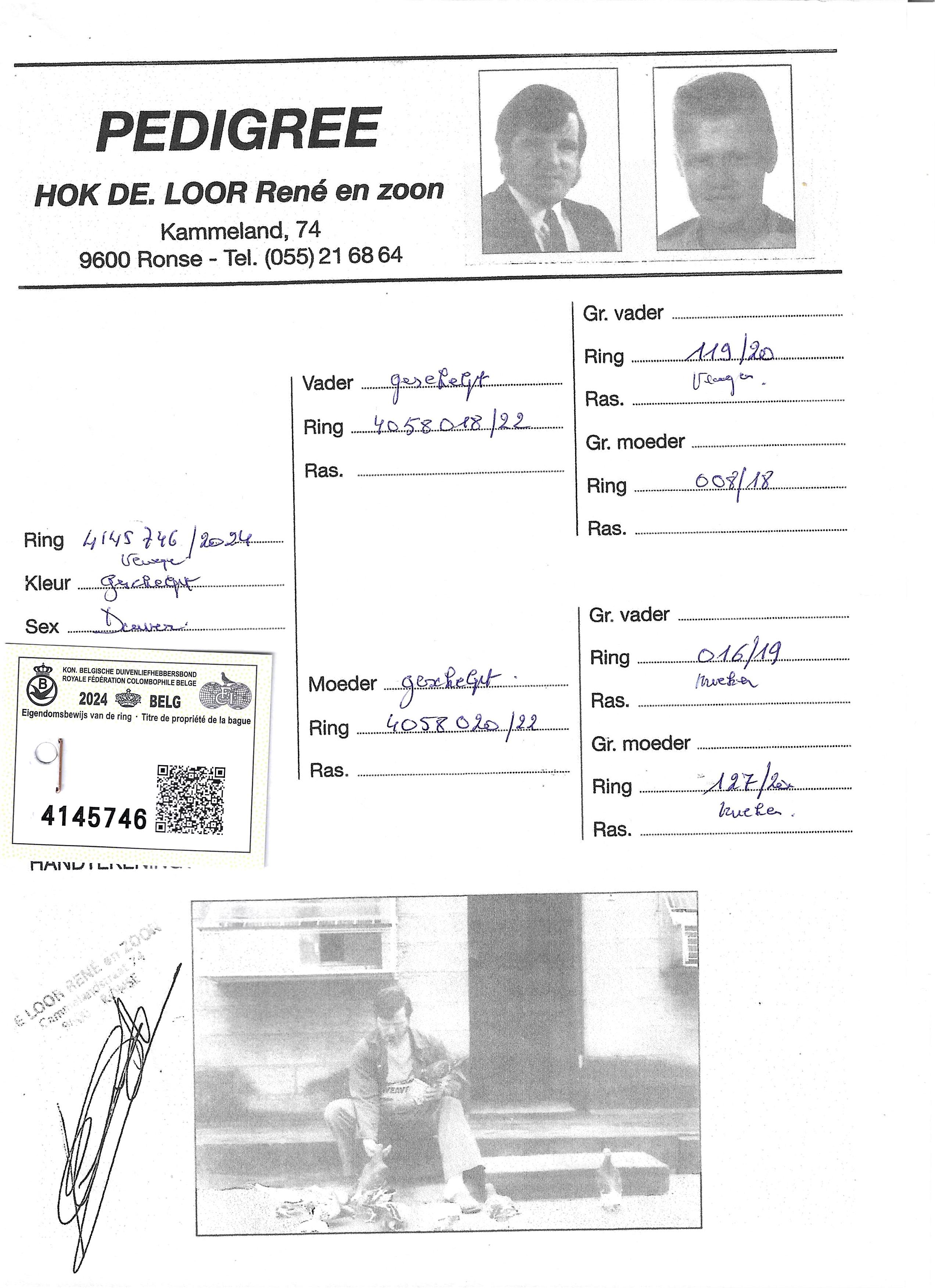 pedigree De Loor 746