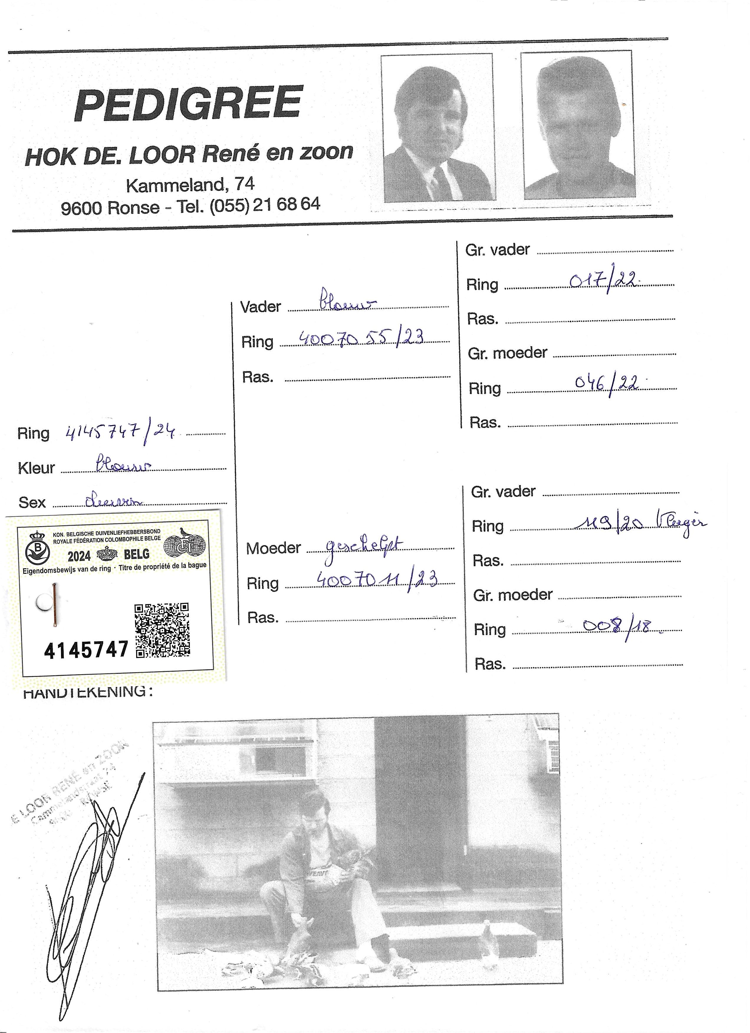 pedigree De Loor 747