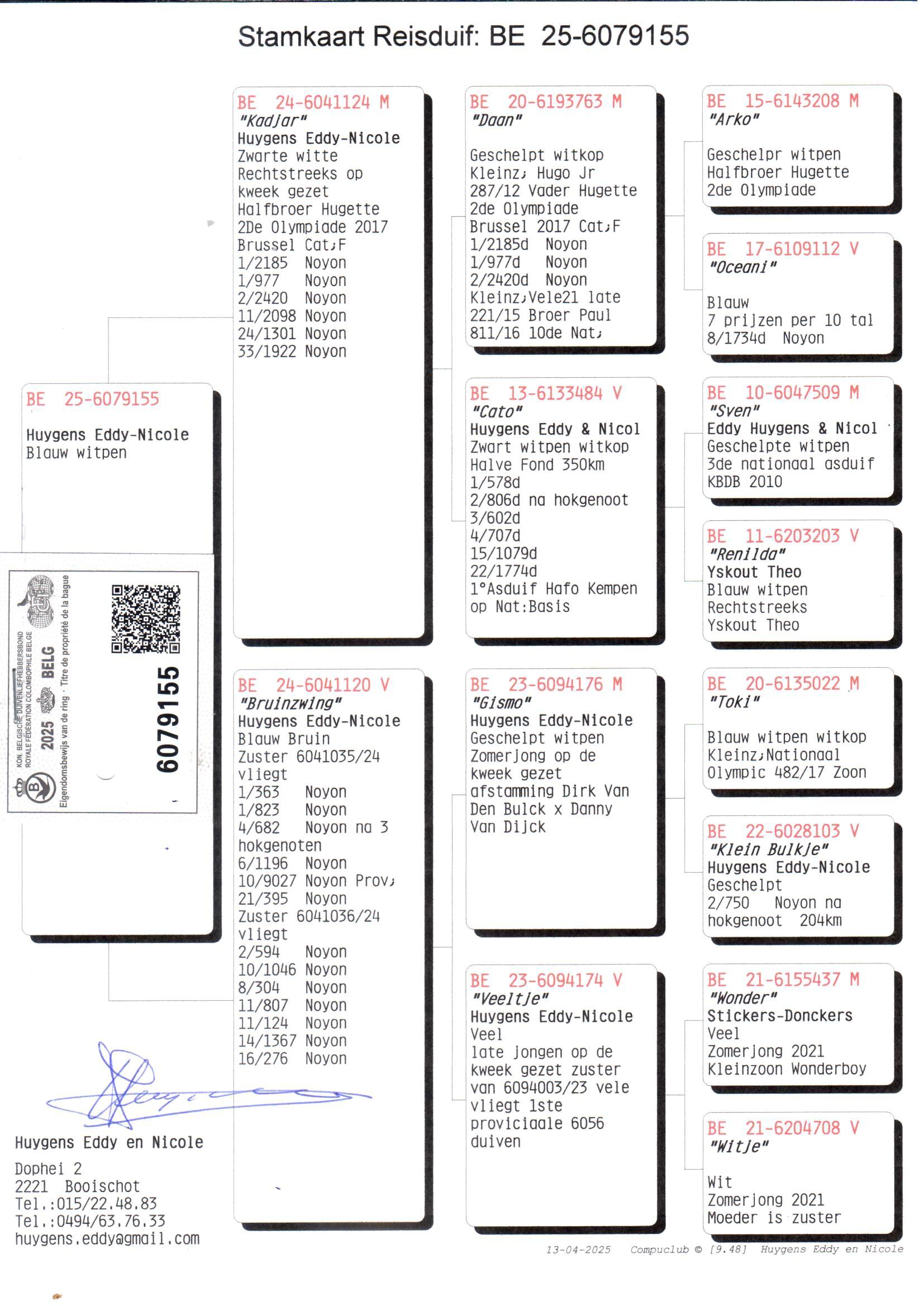 pedigree Collectie Huygens 155