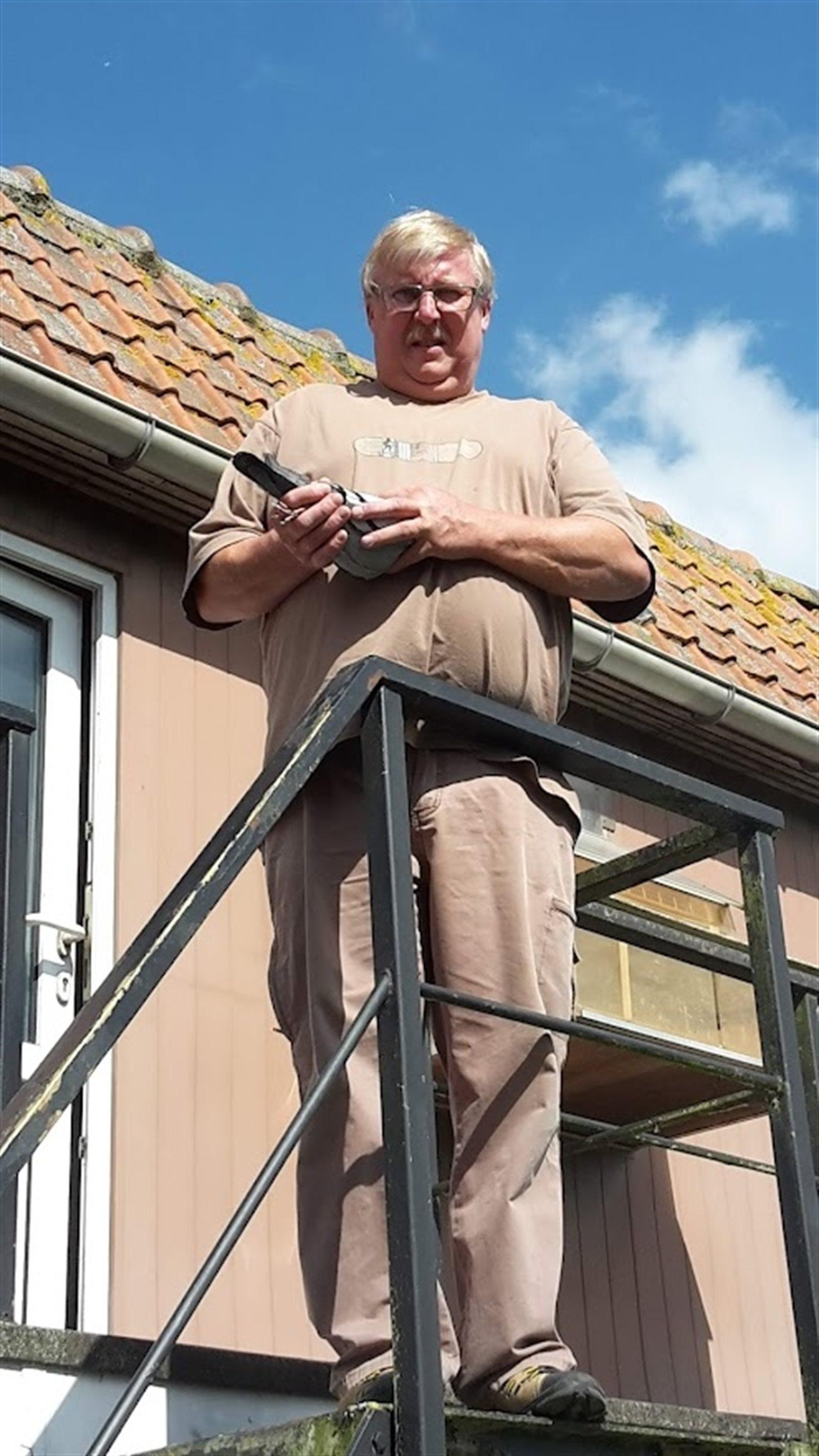 Verschoren Dany  Moorslede	          Duivin ter plaatse
