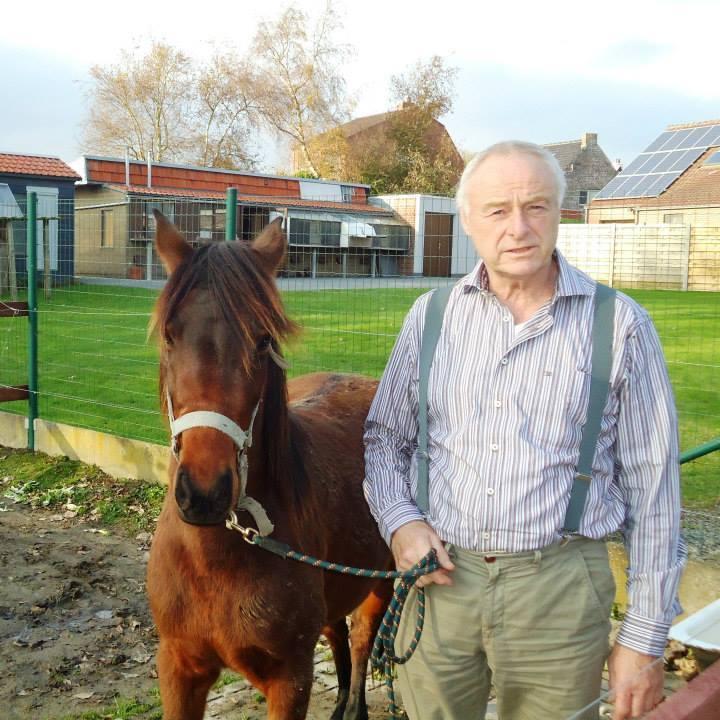 Depuydt Freddy  Hooglede  Bon voor jonge duif