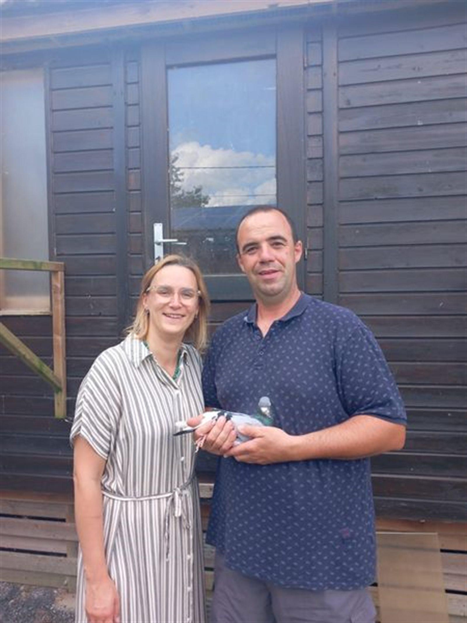Demeulemeester-Depoortere  Zarren  Duivin ter plaatse