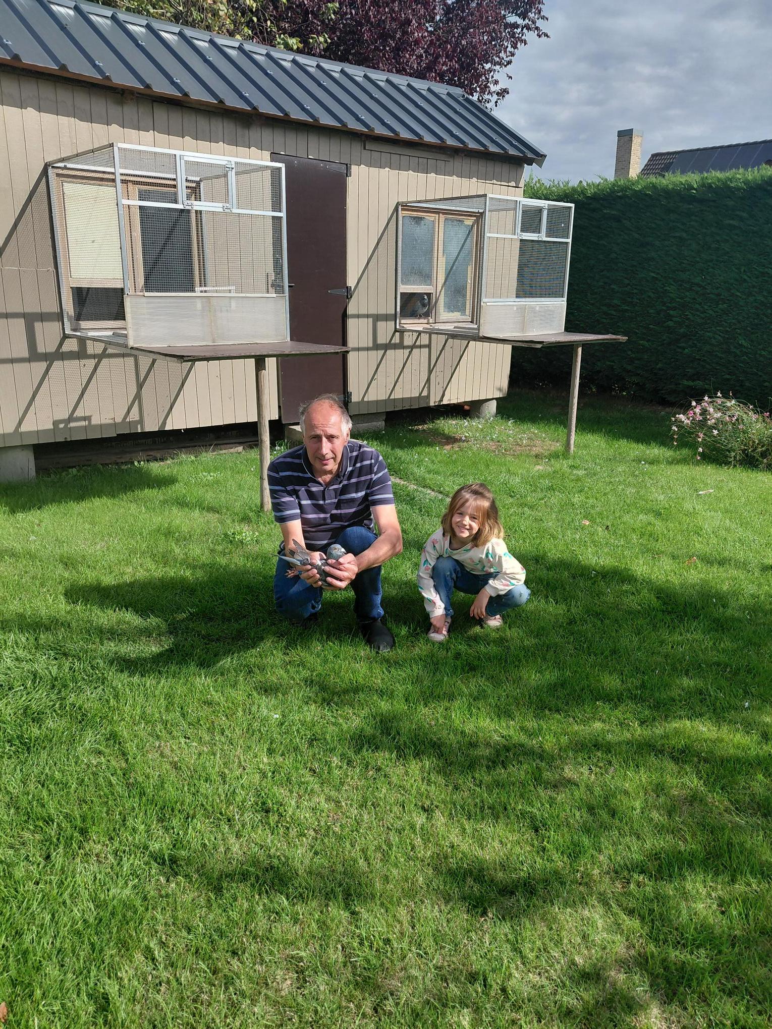 Samijn Alain  Roeselare  Duivin ter plaatse