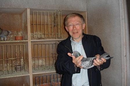 Vercamst Pierre  Anzegem  Bon voor jonge duif