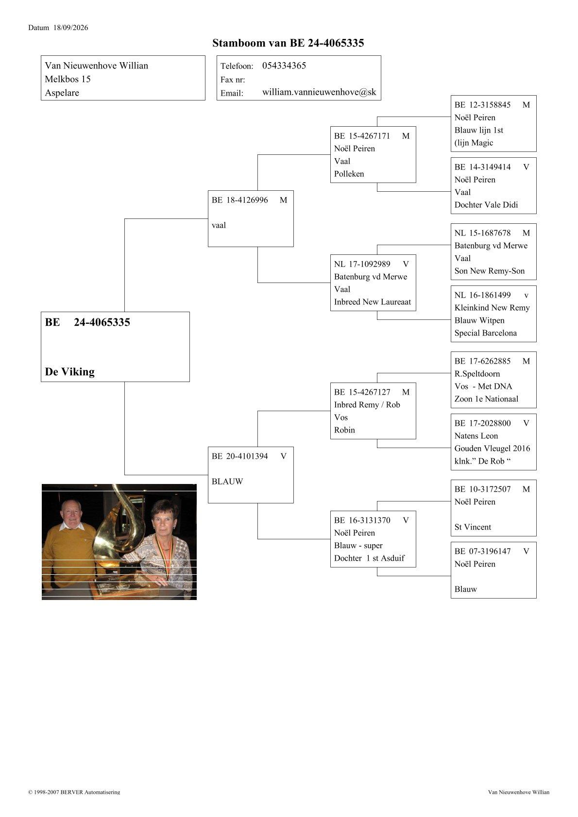 pedigree De Viking