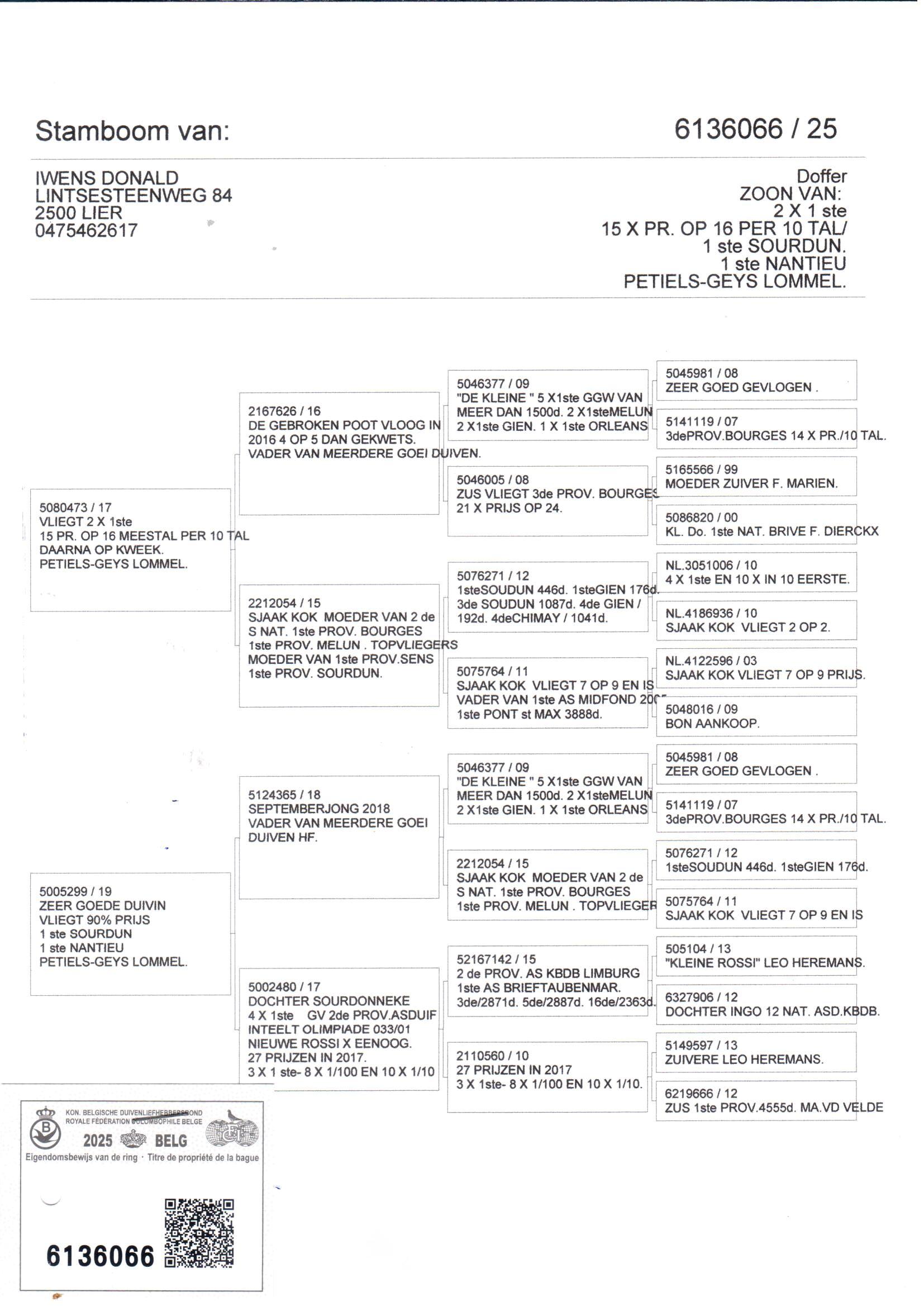 pedigree Iwens 066