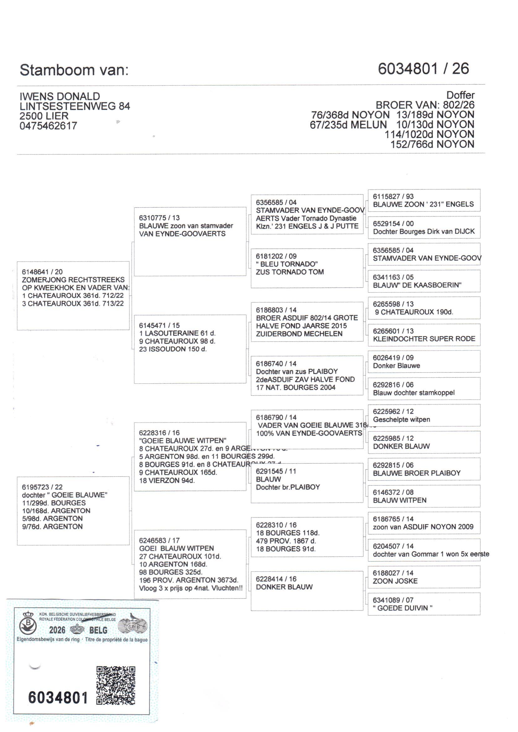 pedigree Iwens 801