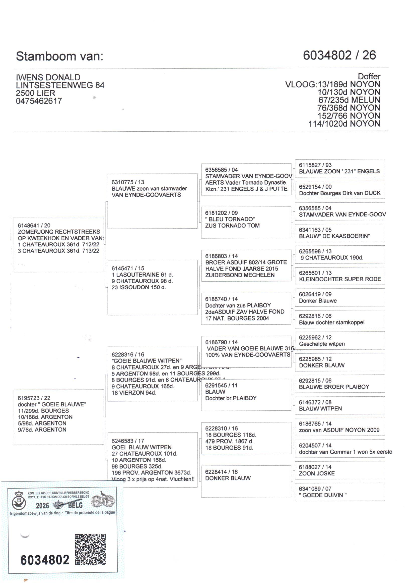 pedigree Iwens 802