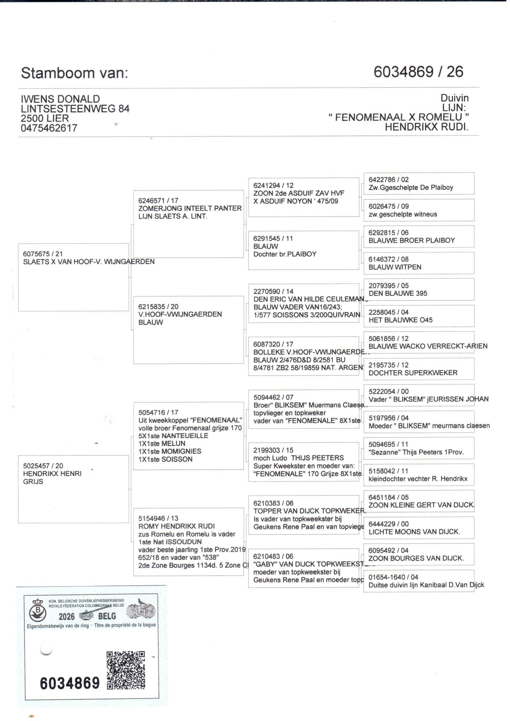 pedigree Iwens 869