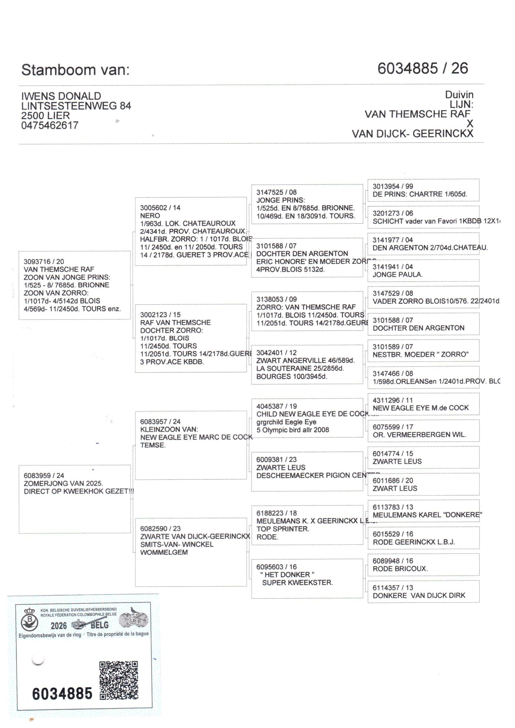 pedigree Iwens 885