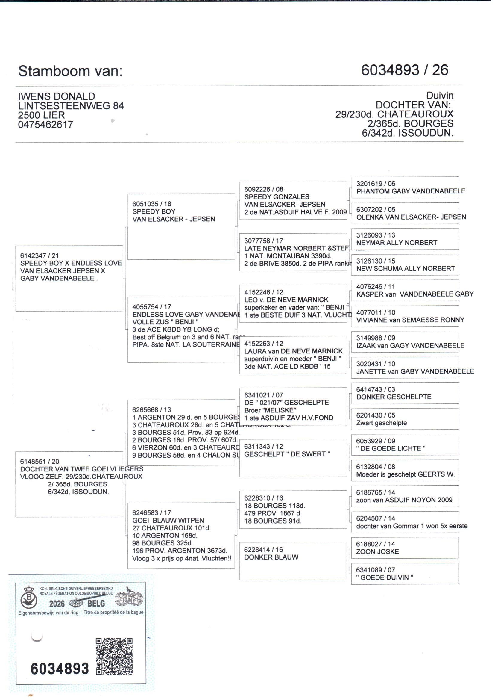 pedigree Iwens 893
