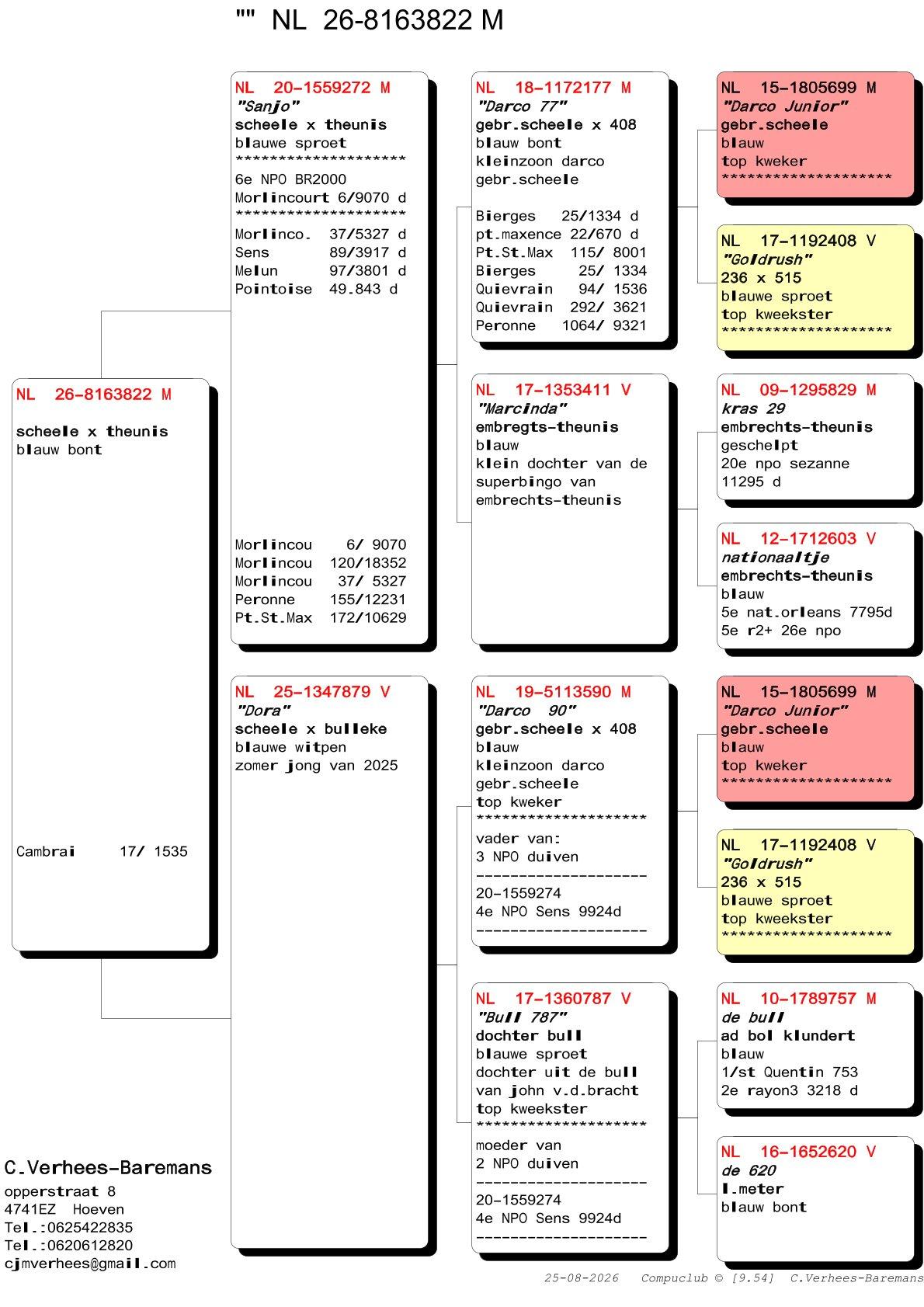 pedigree Verhees 822