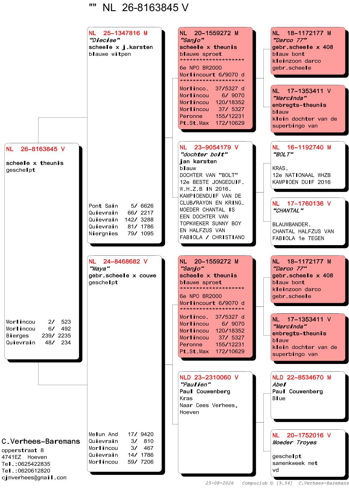 pedigree Verhees 845