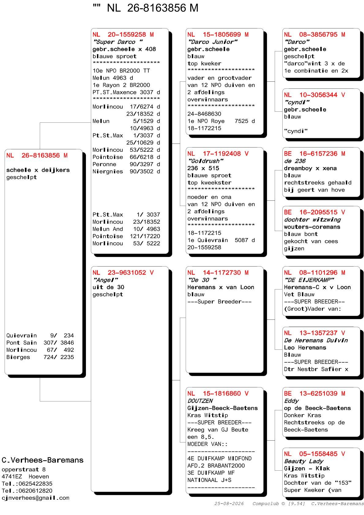 pedigree Verhees 856