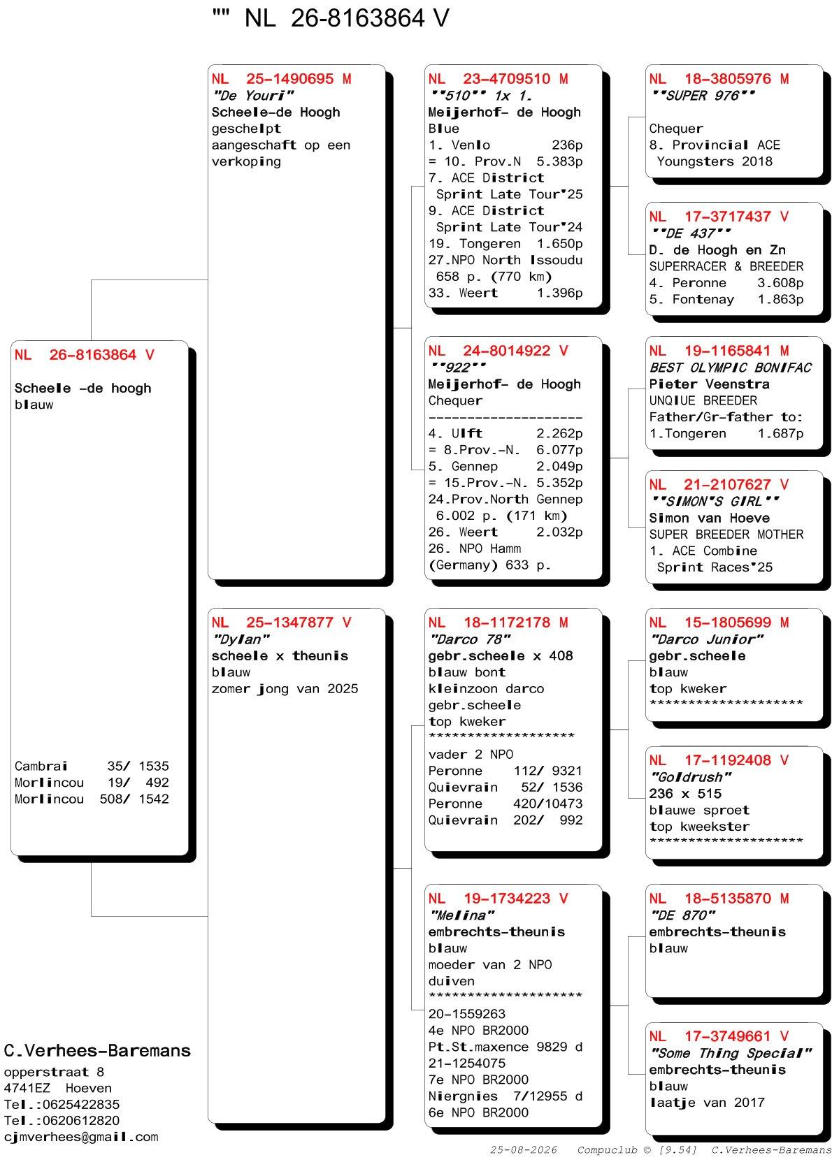 pedigree Verhees 864