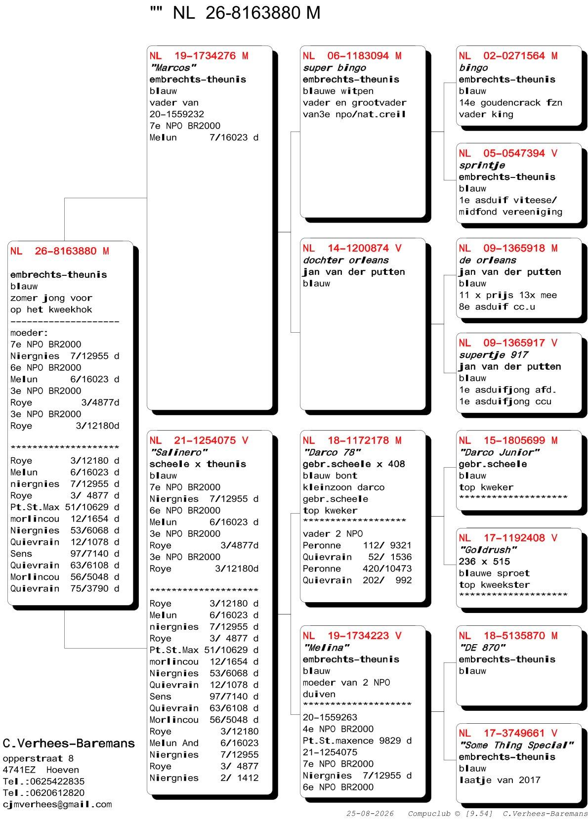 pedigree Verhees 880