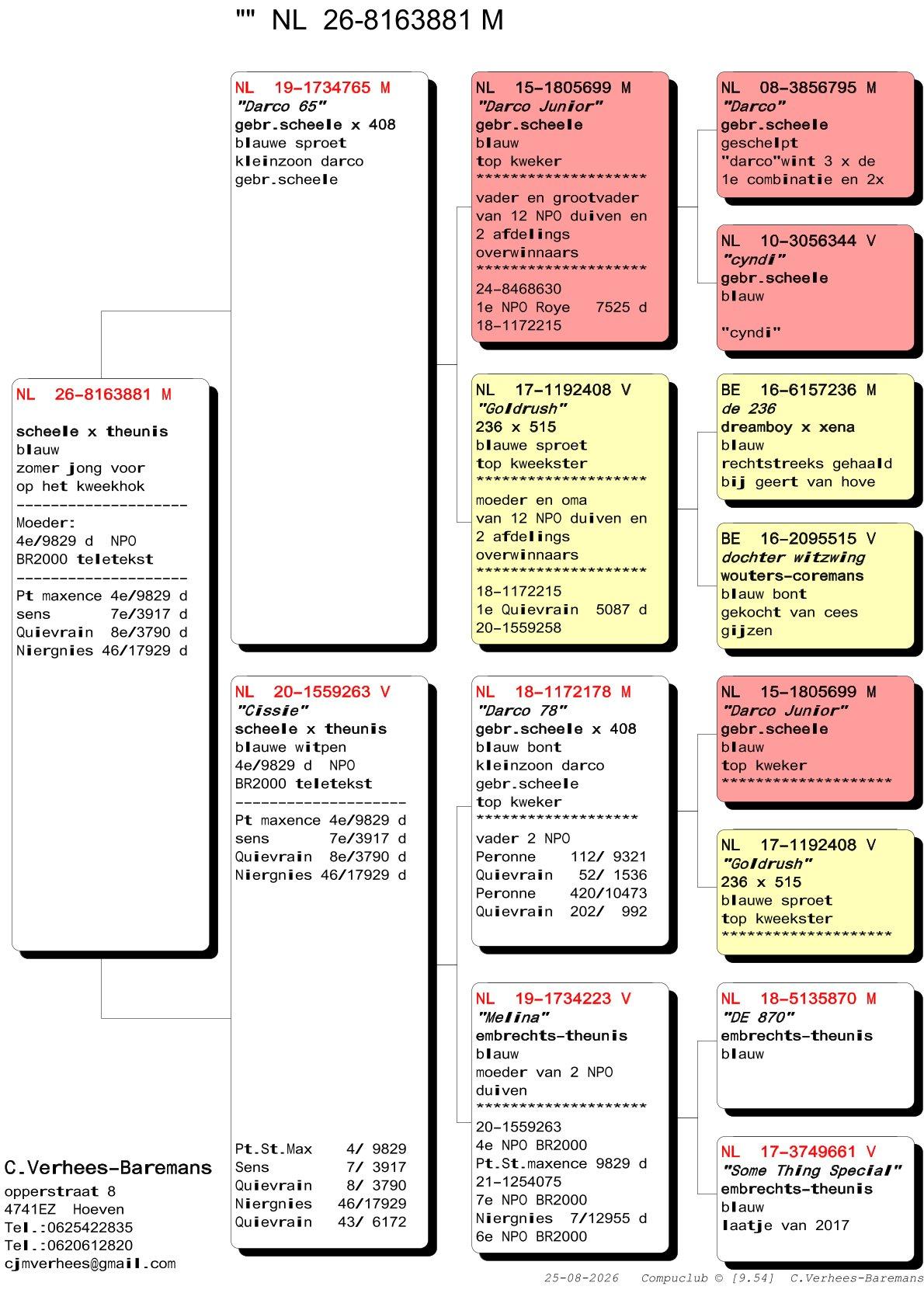 pedigree Verhees 881