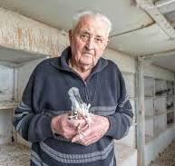 Vandeverre Norbert Roeselare Duiver ter plaatse