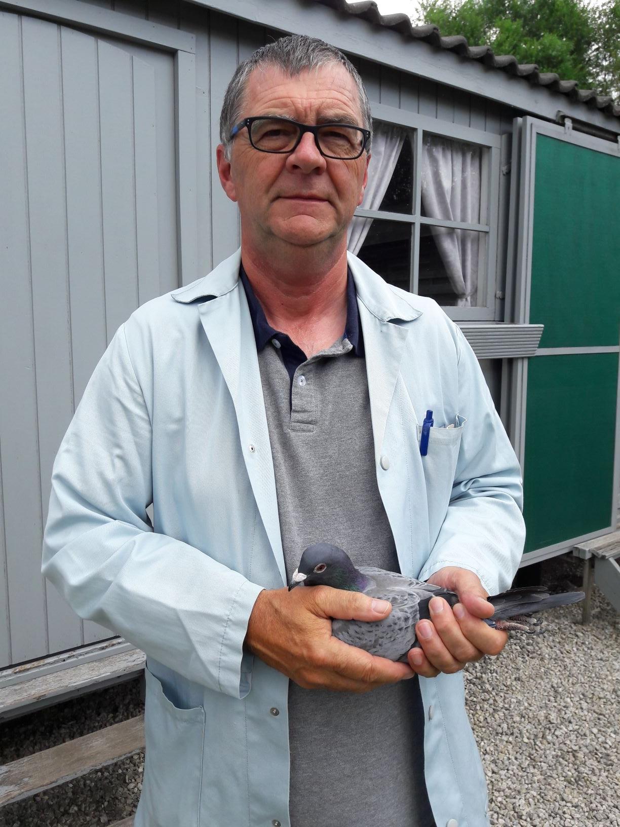 Vanelslander Frans  Roeselare  Duiver ter plaatse