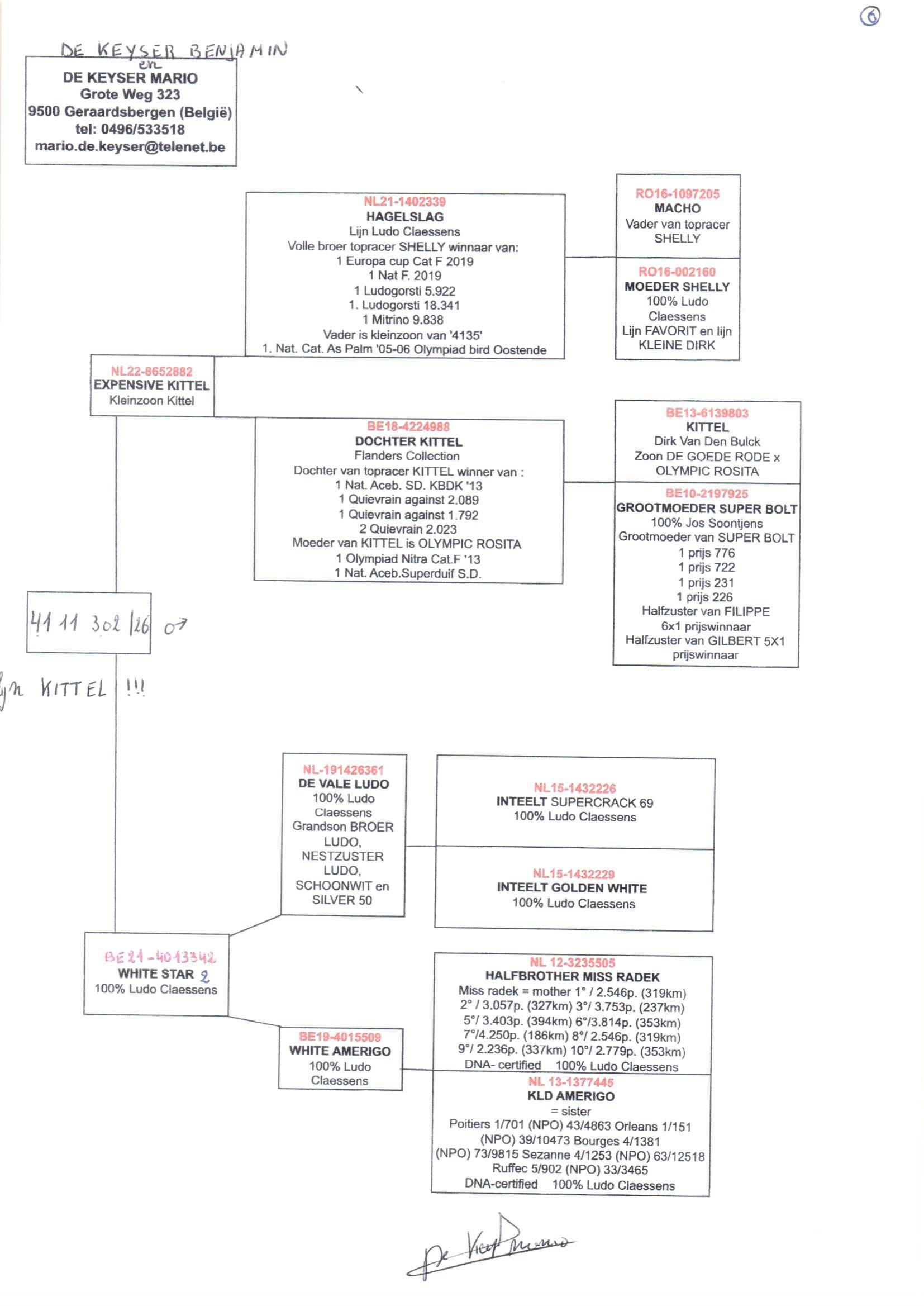 pedigree De Keyser 302