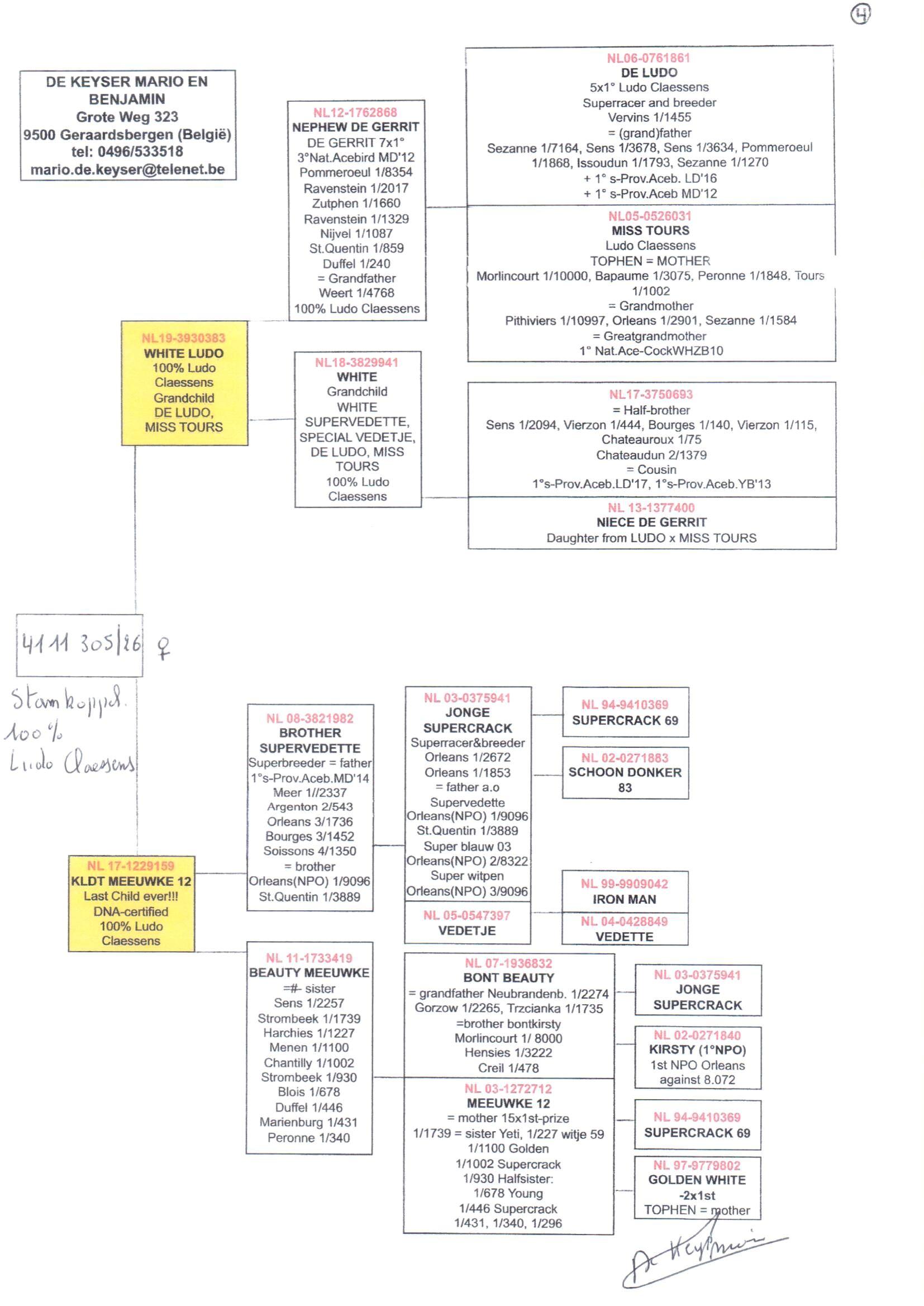 pedigree De Keyser 305