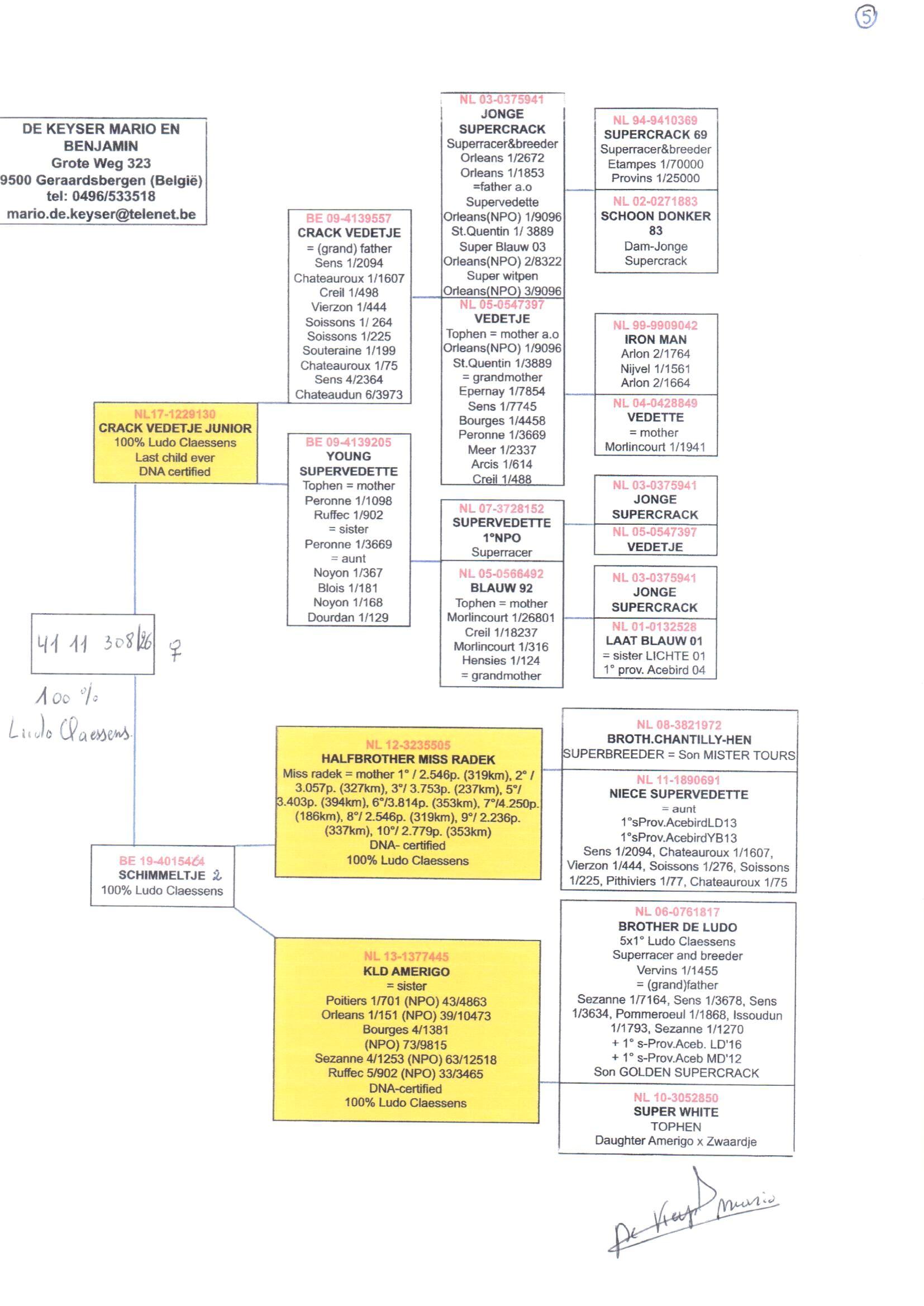 pedigree De Keyser 308