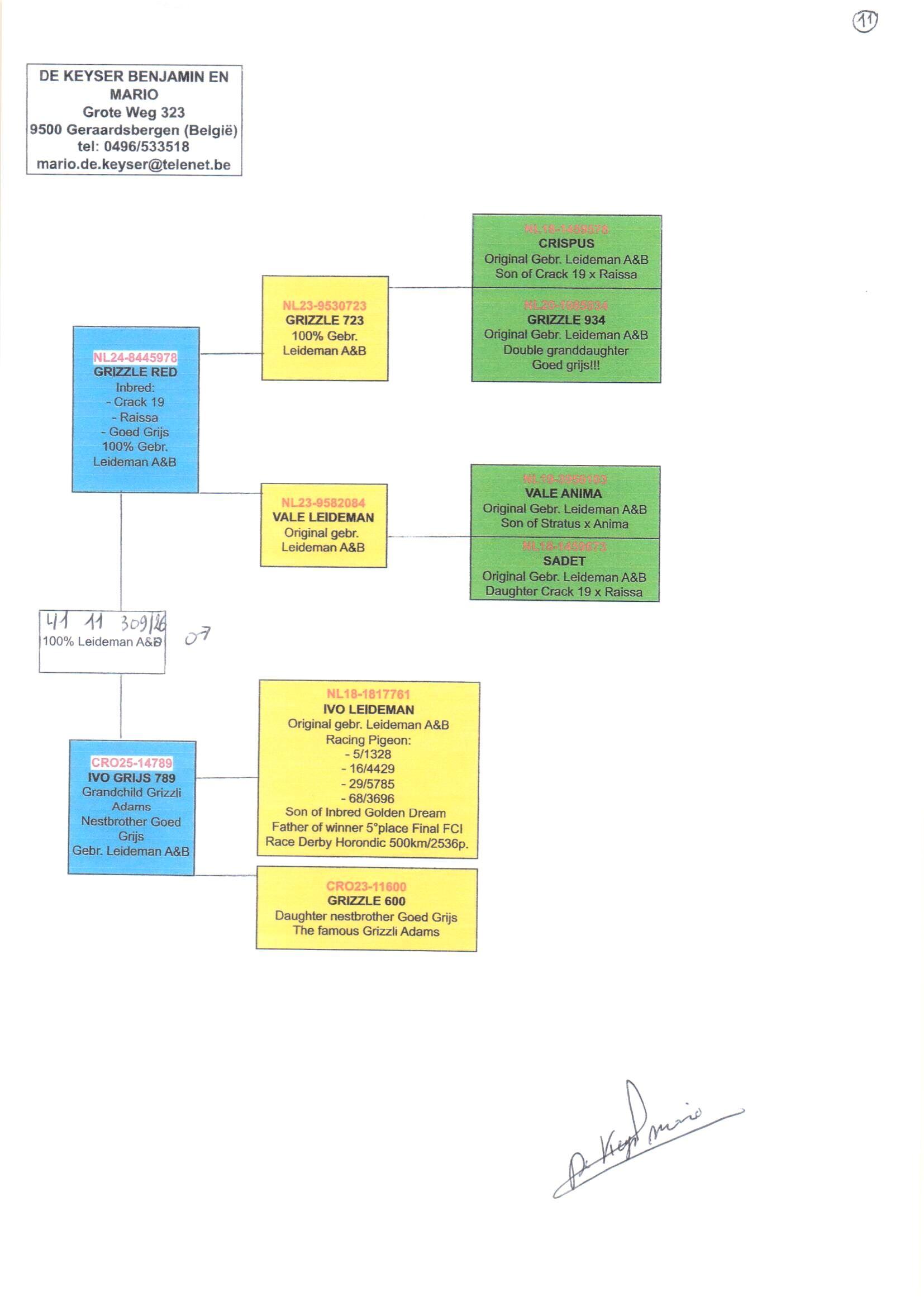 pedigree De Keyser 309
