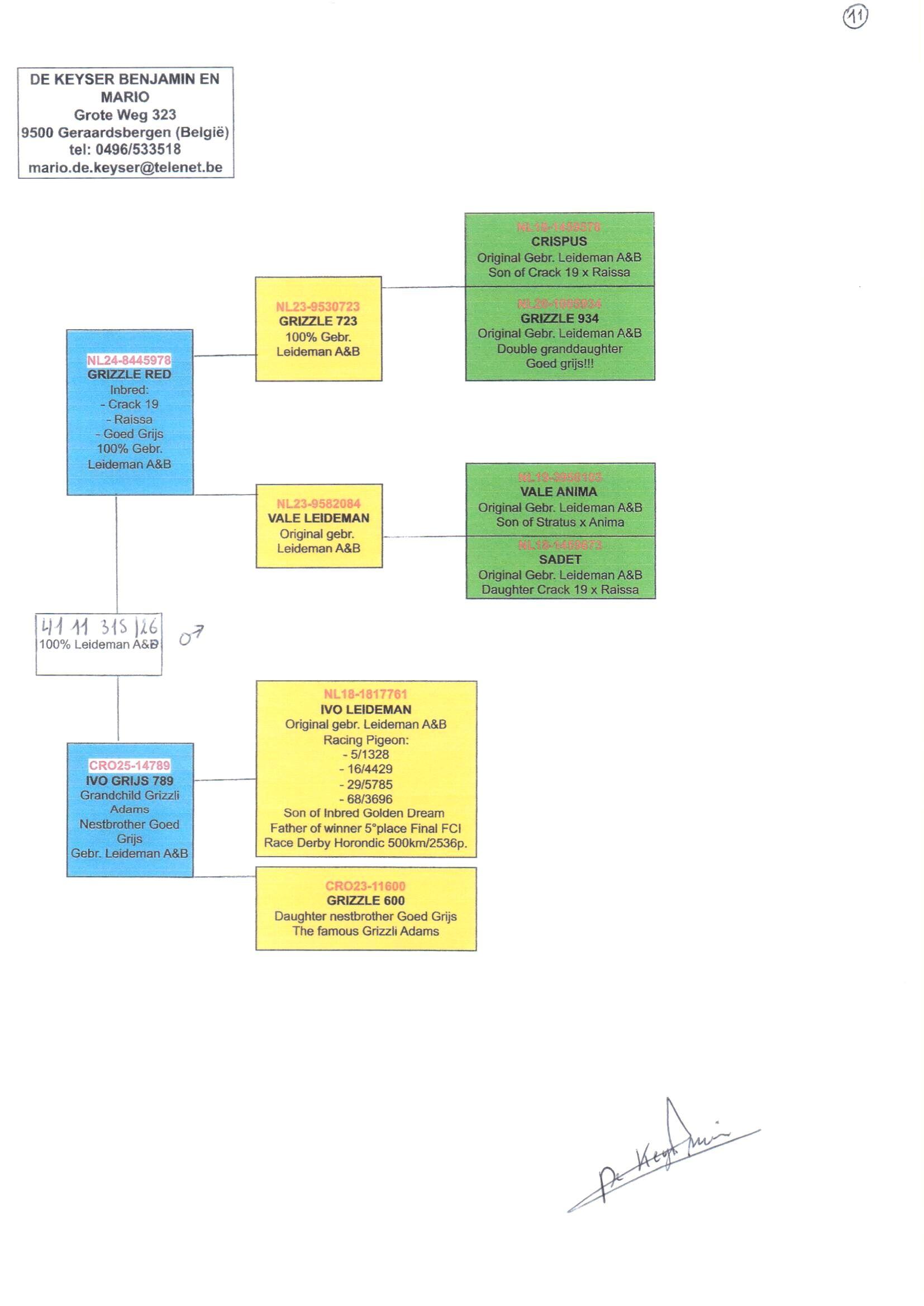 pedigree De Keyser 315