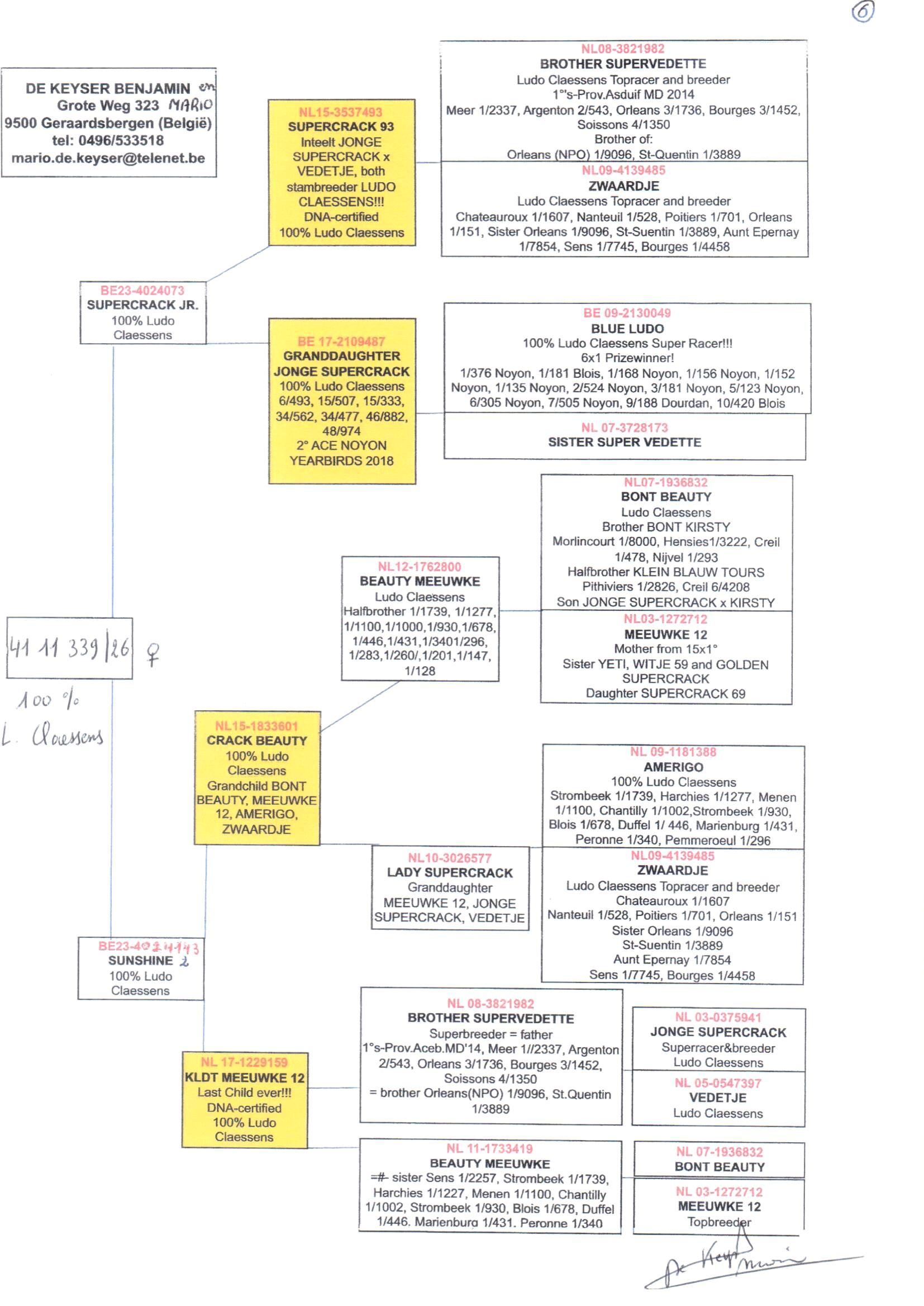 pedigree De Keyser 339
