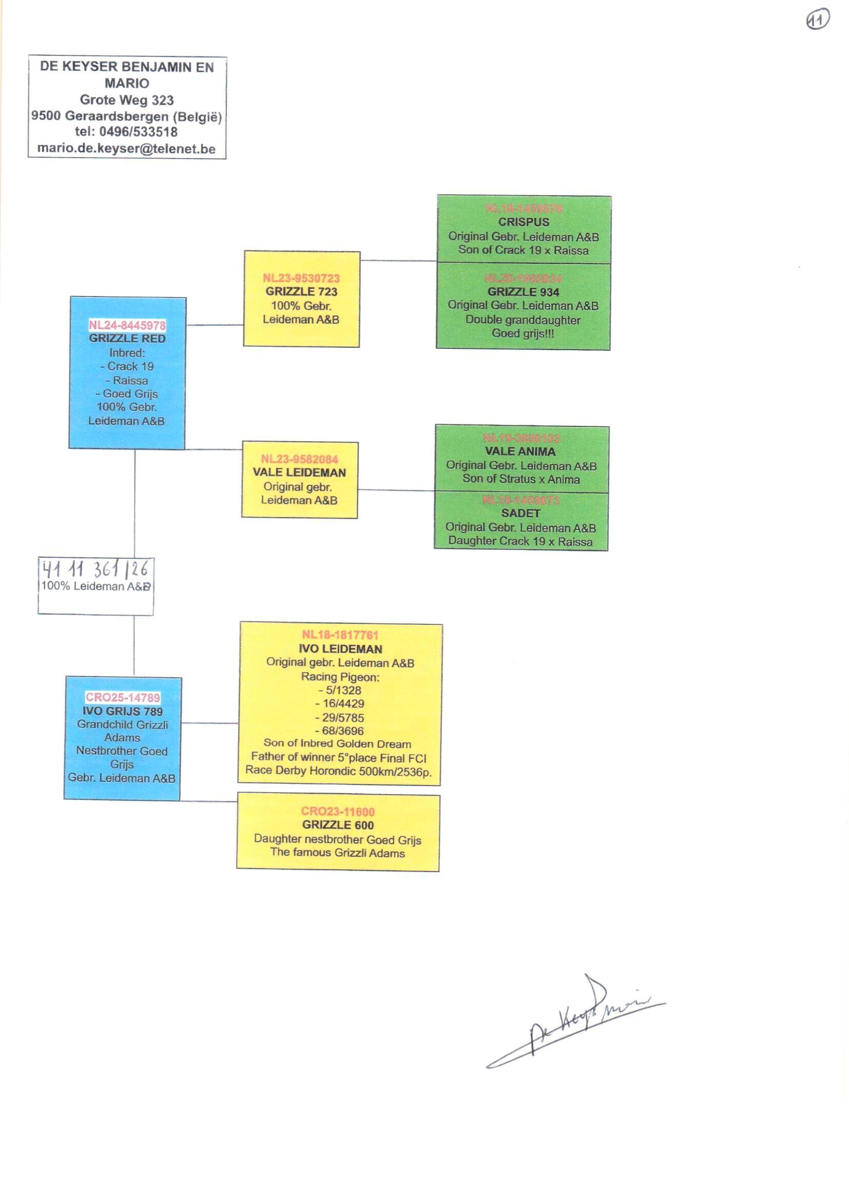 pedigree De Keyser 361