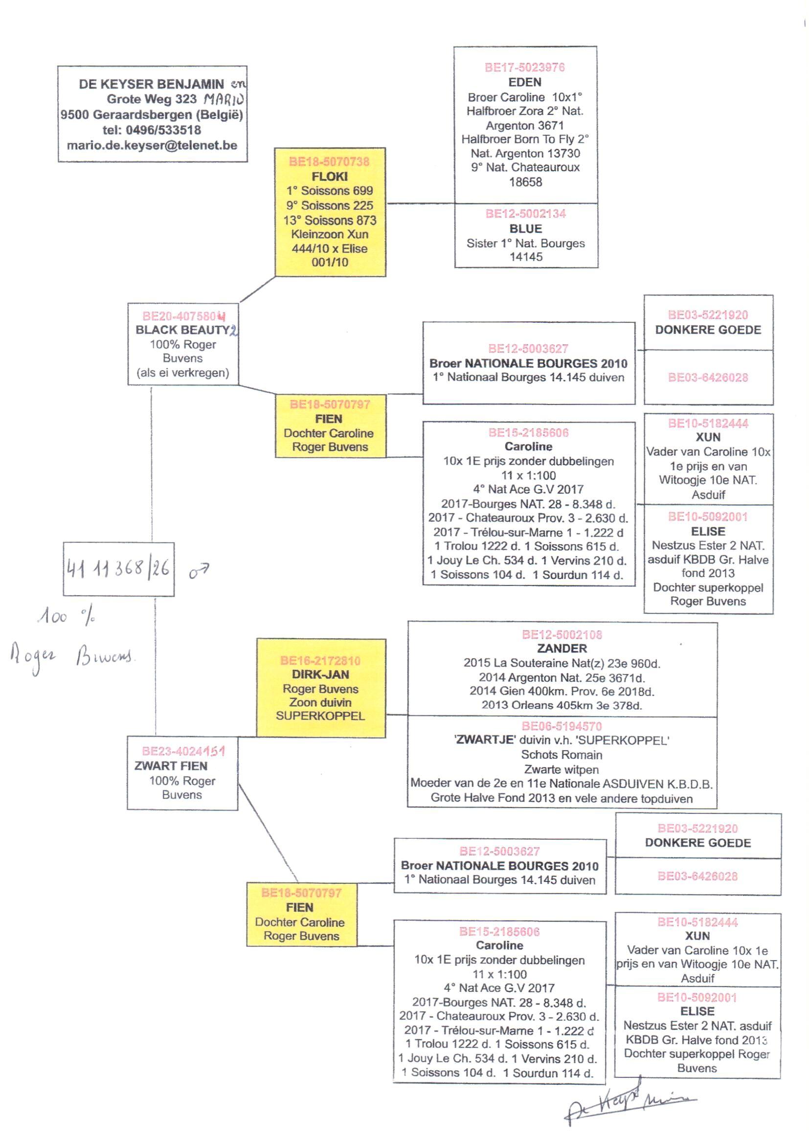 pedigree De Keyser 368