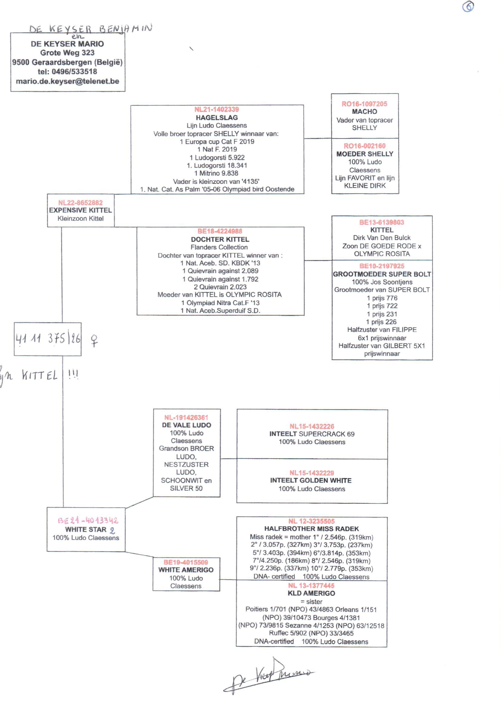 pedigree De Keyser 375