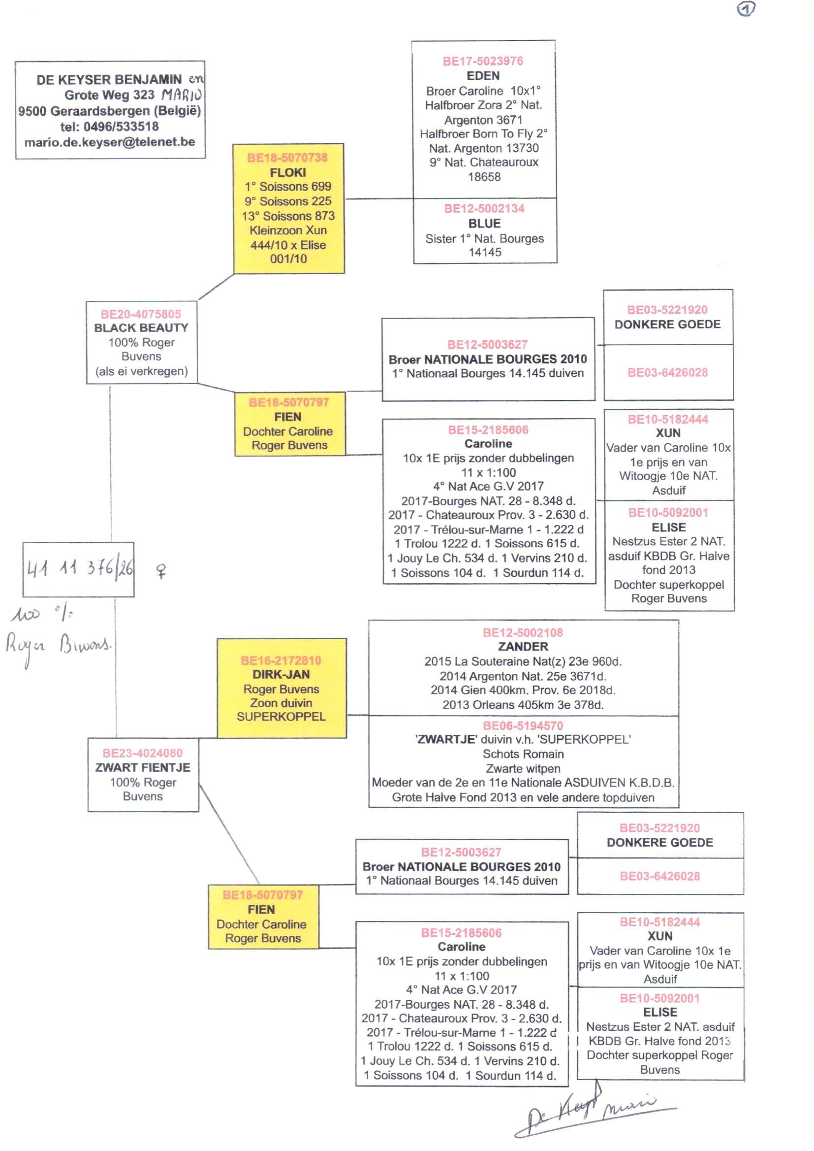 pedigree De Keyser 376