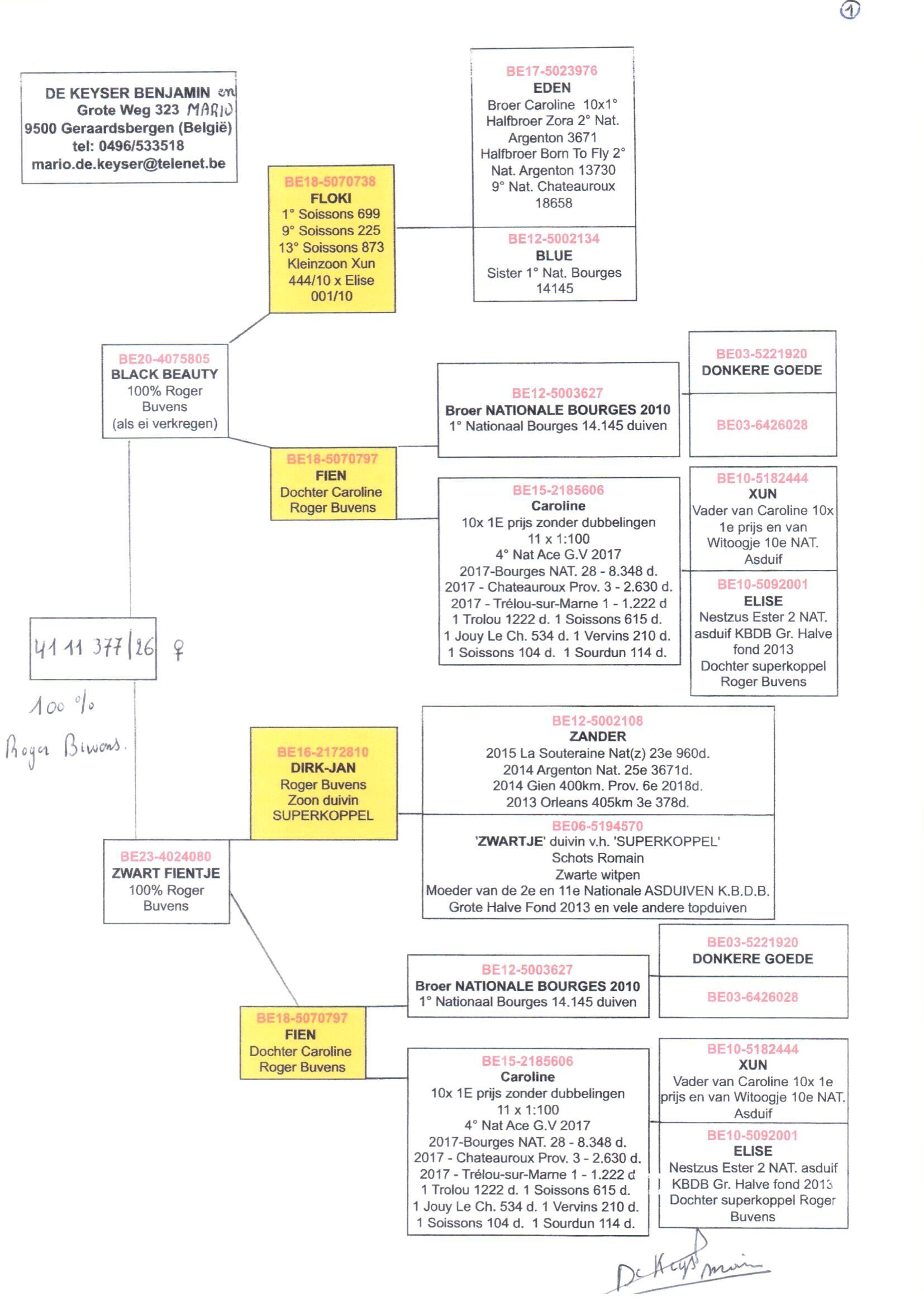 pedigree De Keyser 377