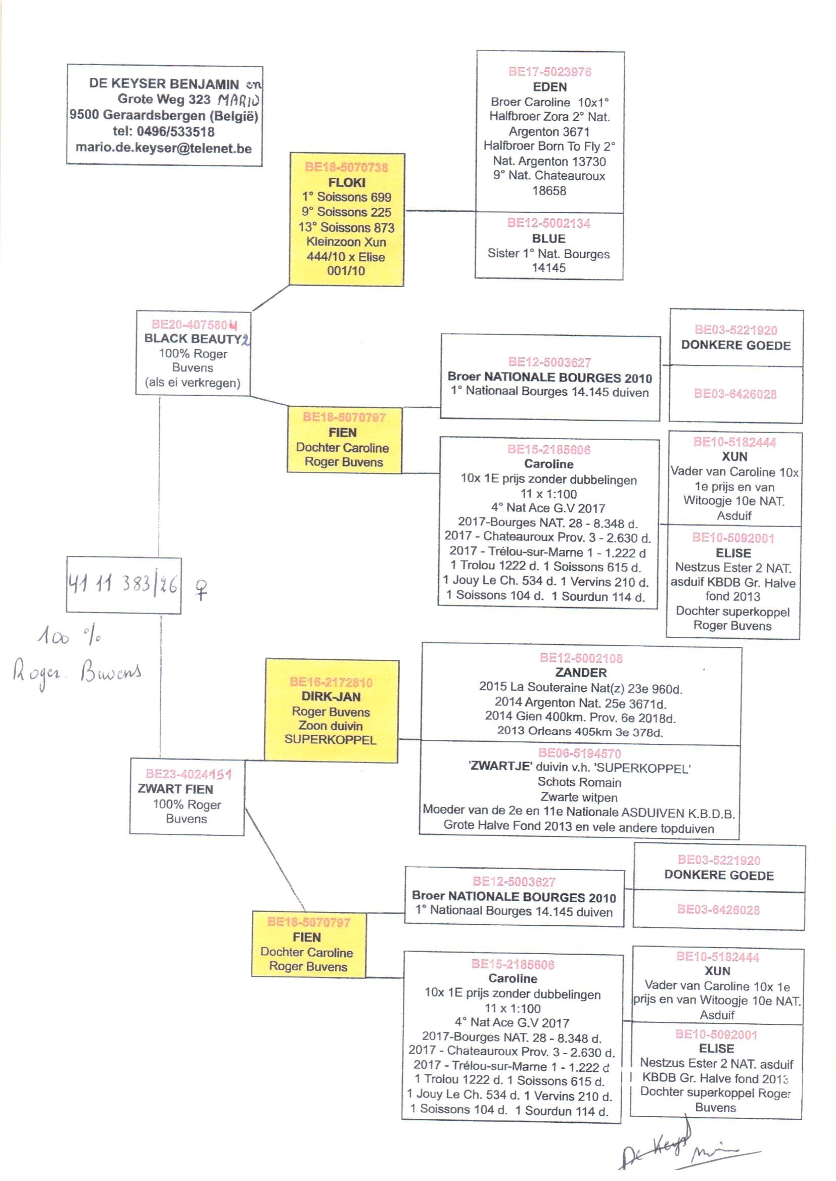 pedigree De Keyser 383