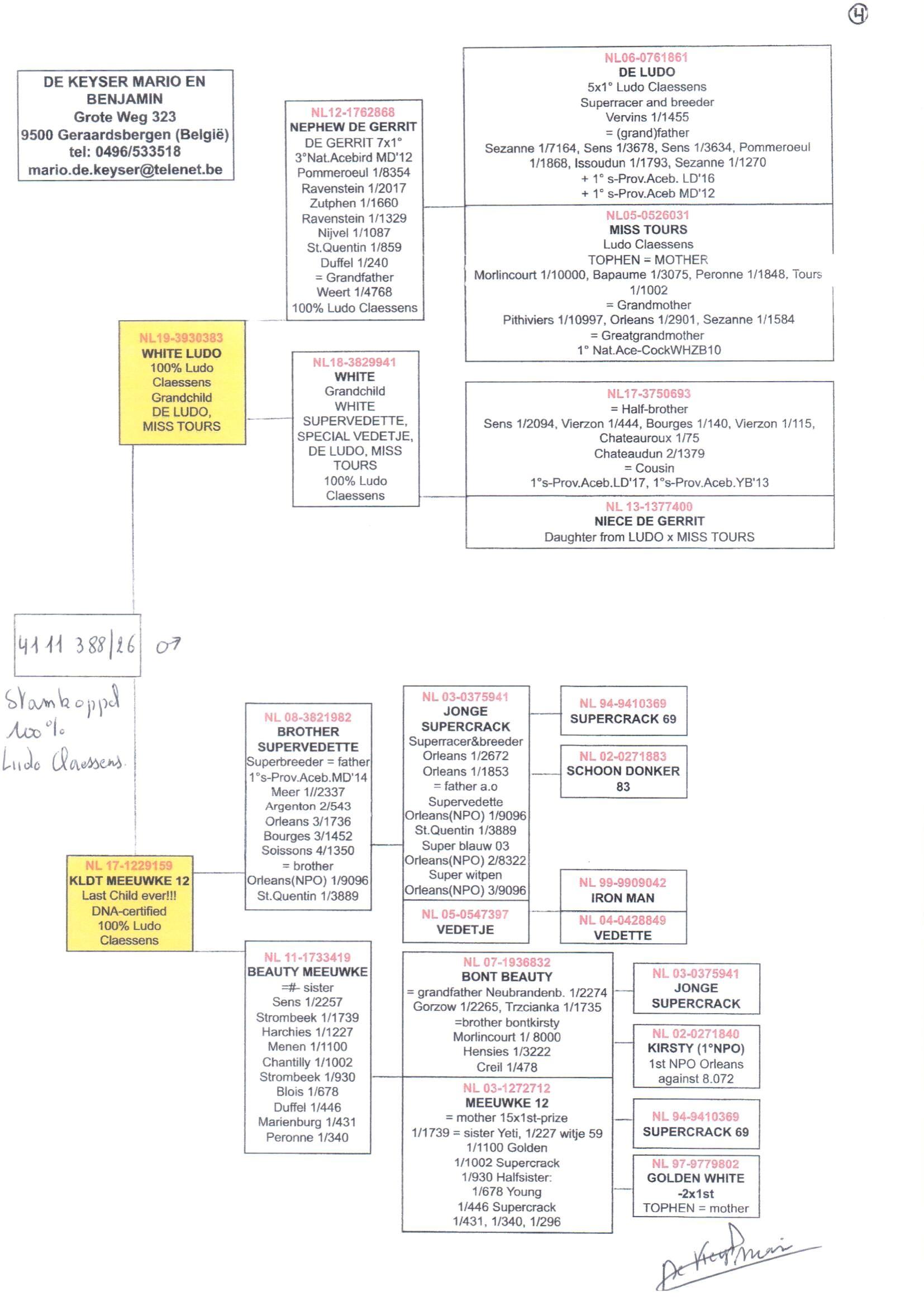 pedigree De Keyser 388