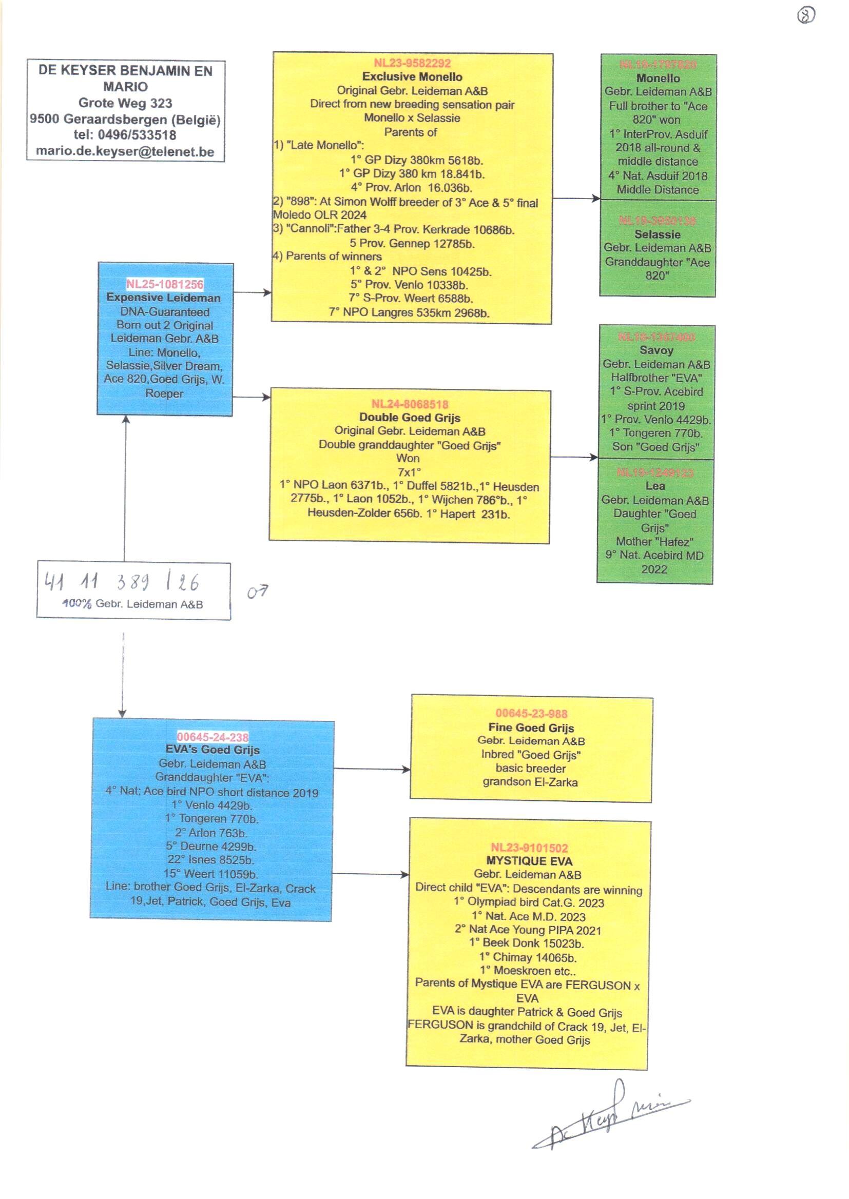pedigree De Keyser 389