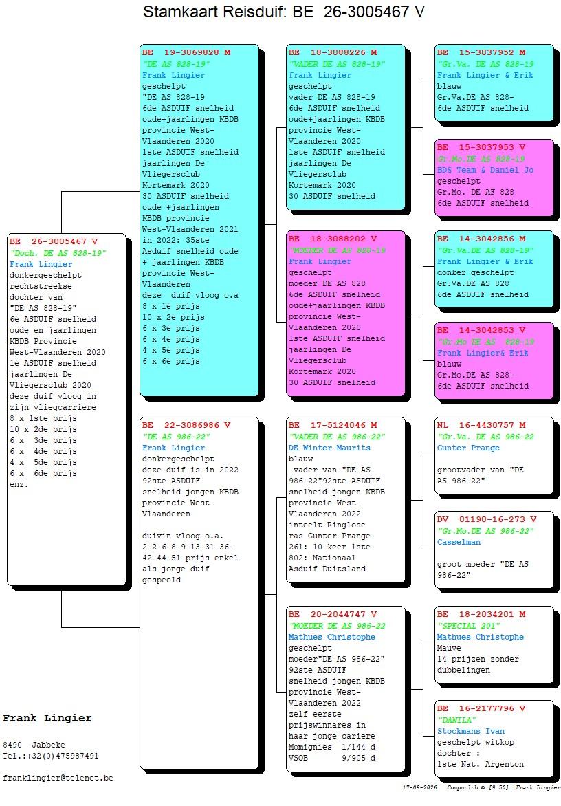 pedigree Lingier 467