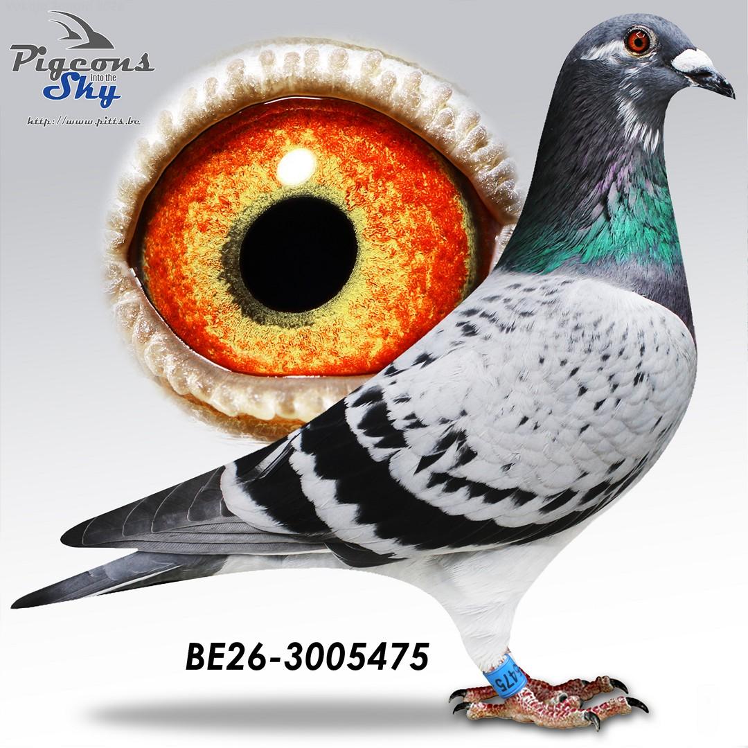 Lingier 475
