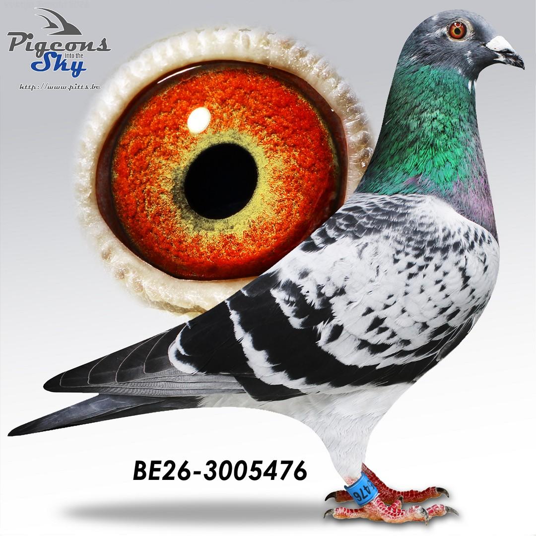 Lingier 476