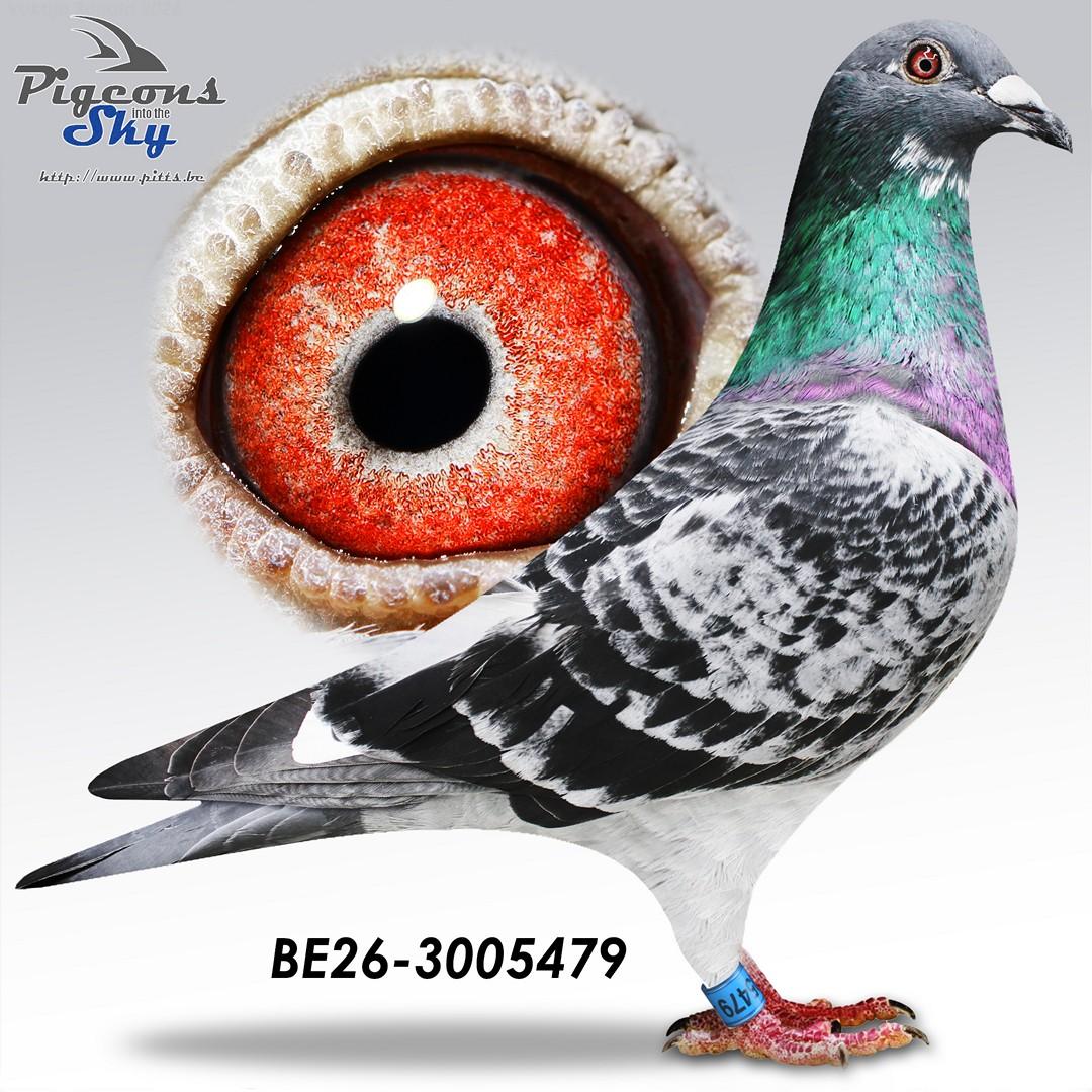 Lingier 479