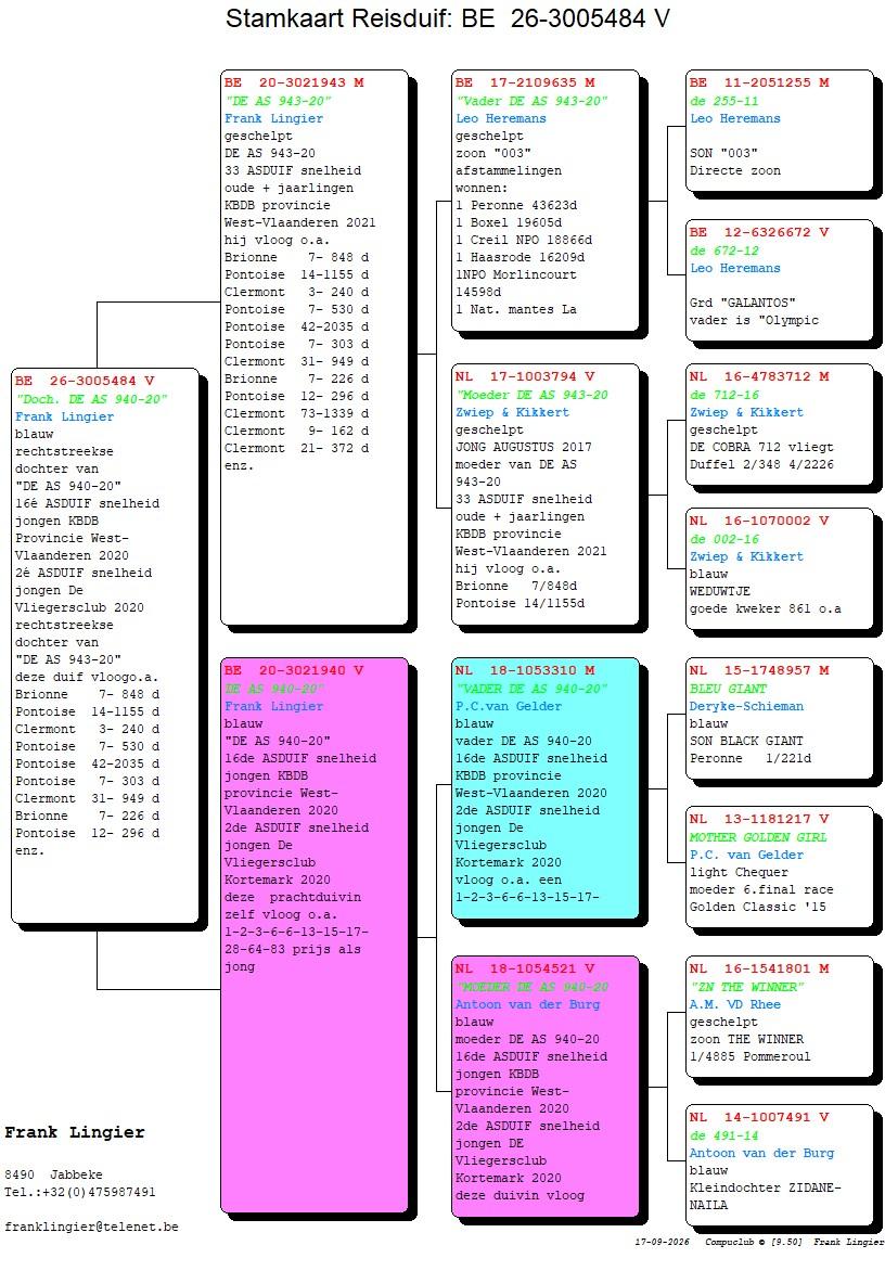 pedigree Lingier 484
