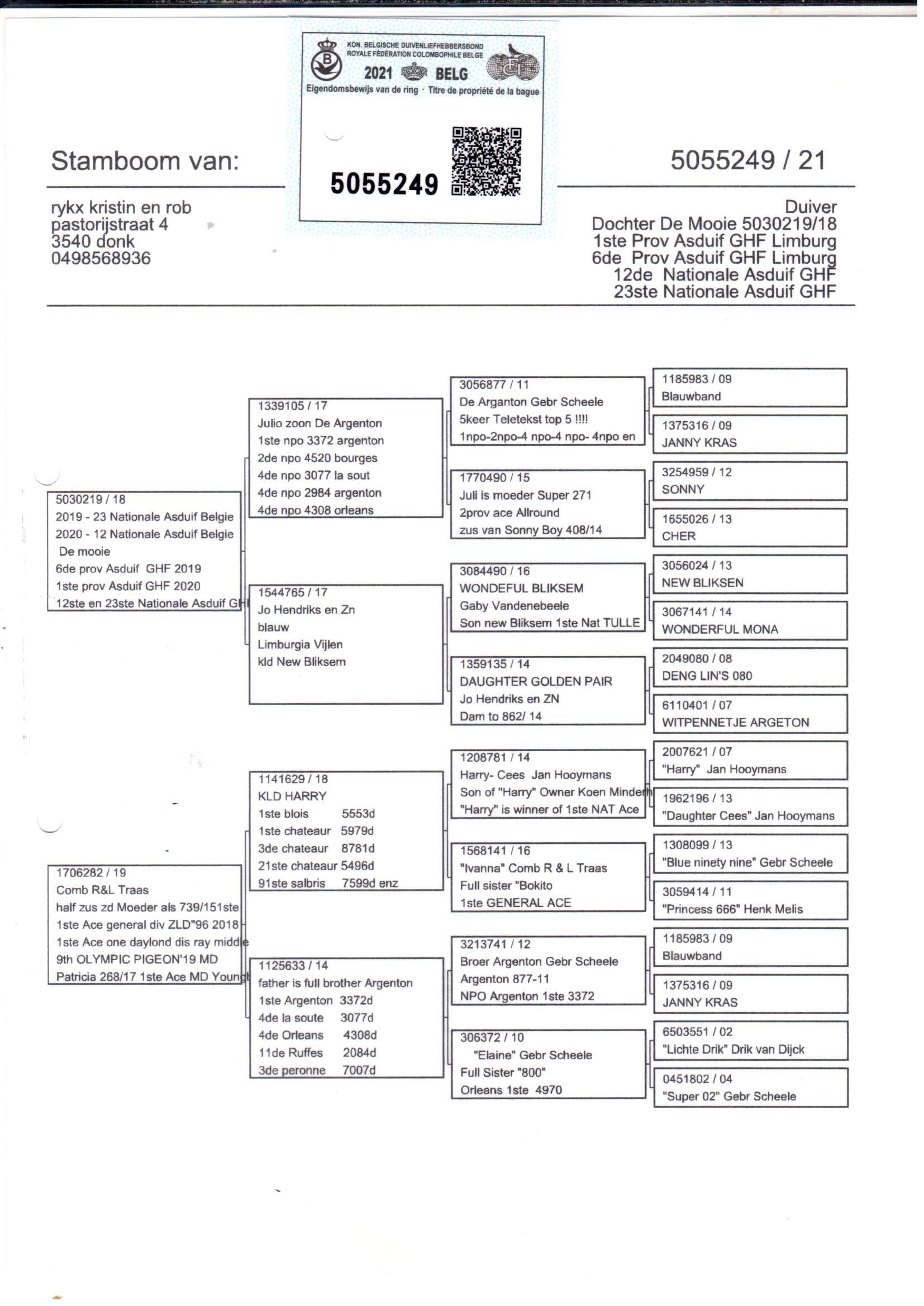 pedigree Rykx 249