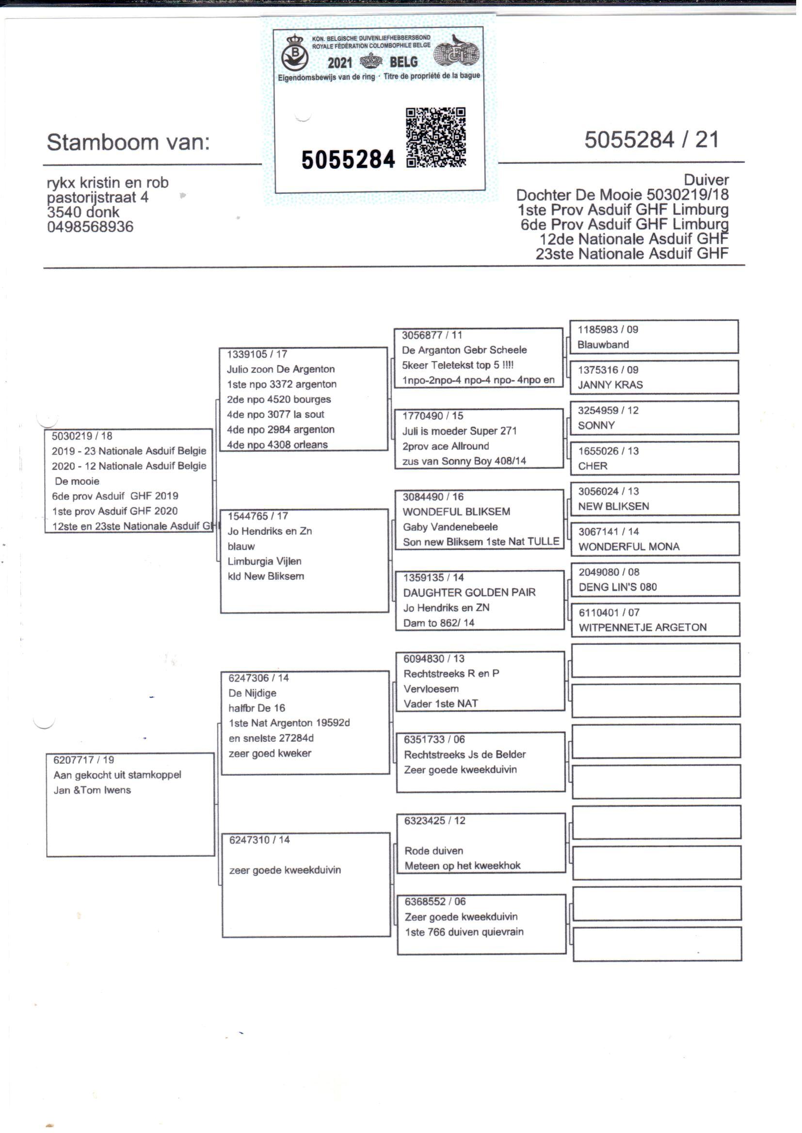 pedigree Rykx 284