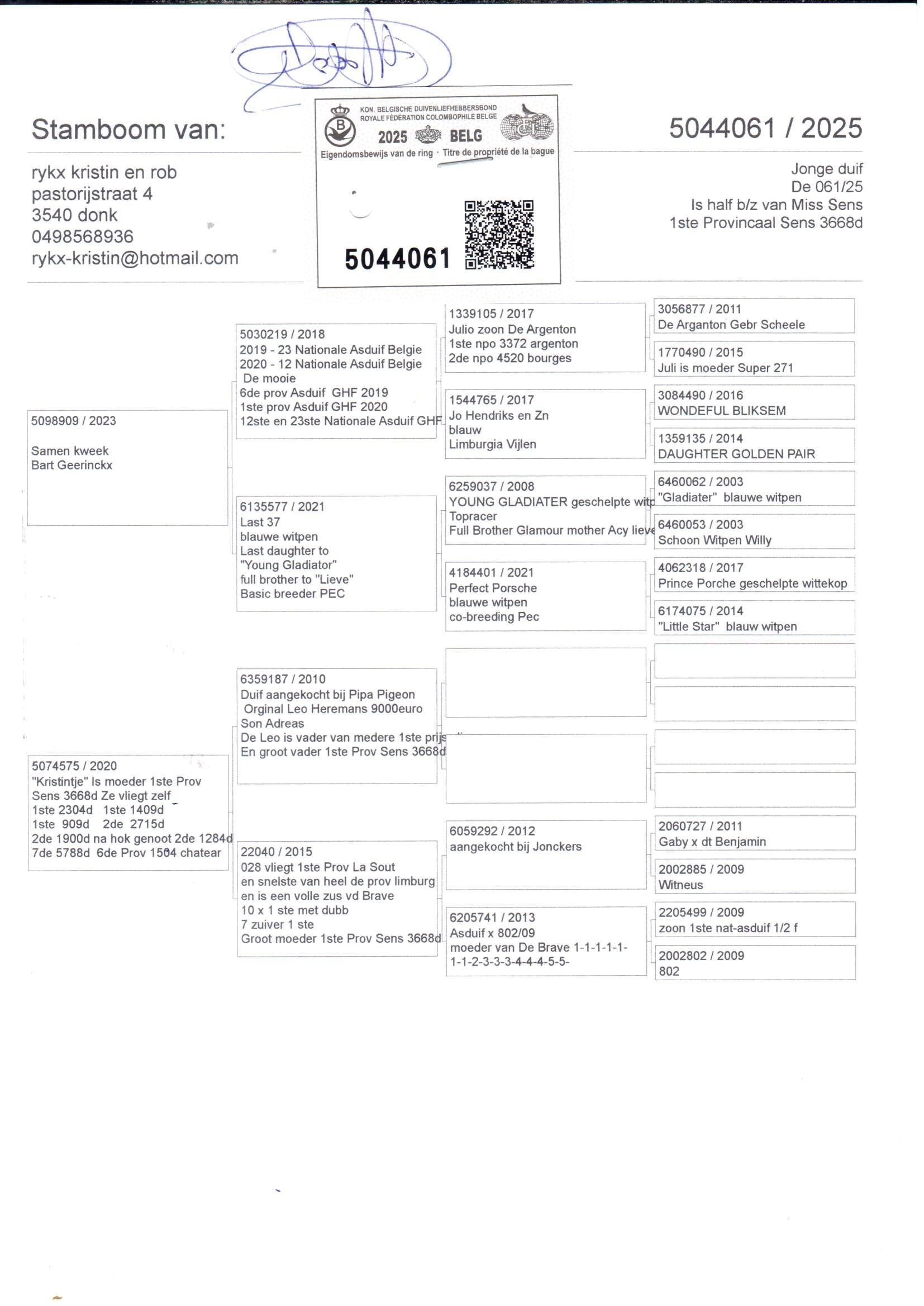 pedigree Rykx 061