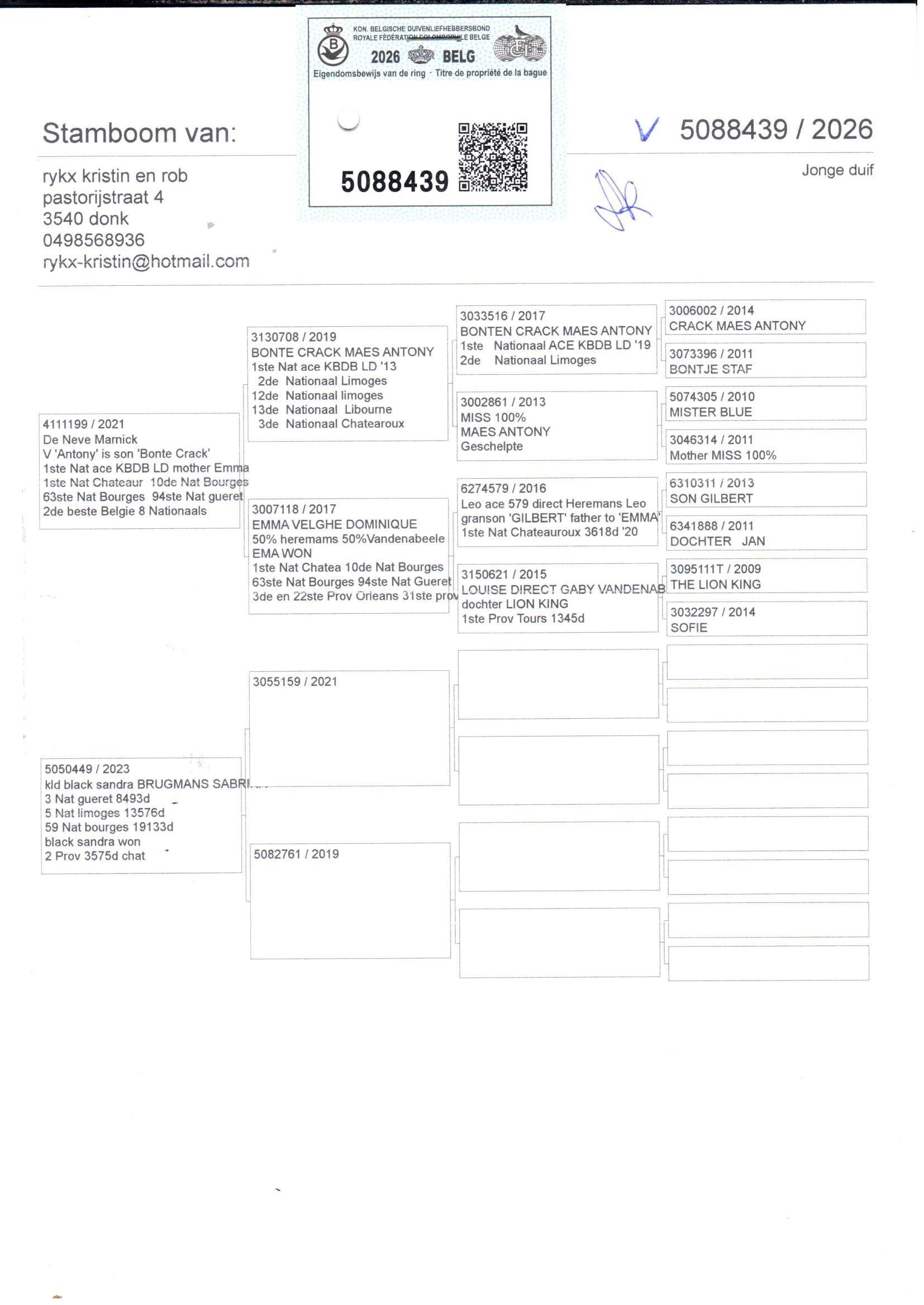 pedigree Rykx 439
