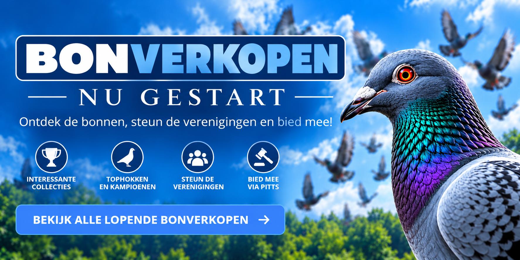 Bonverkopen_ ontdek, steun en bied mee
