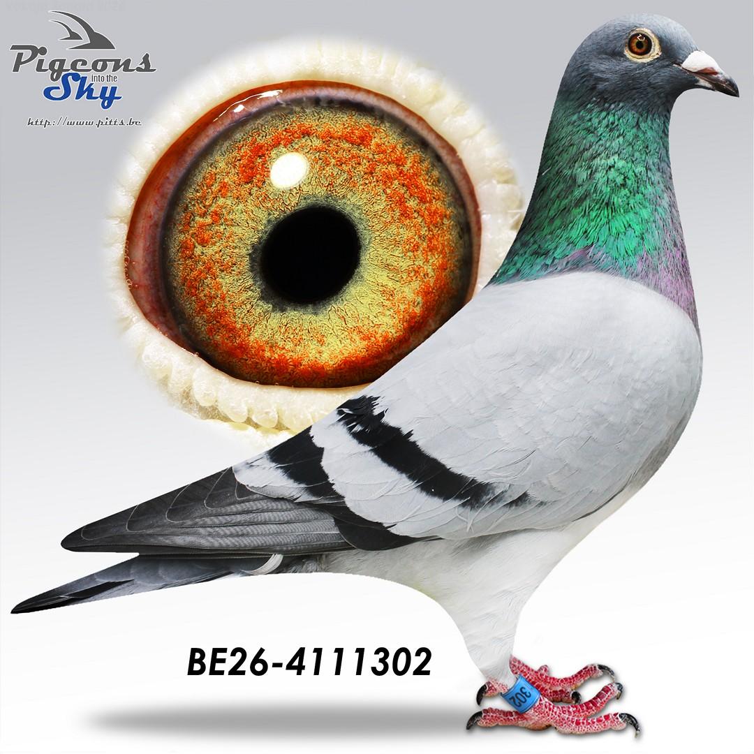 De Keyser 302